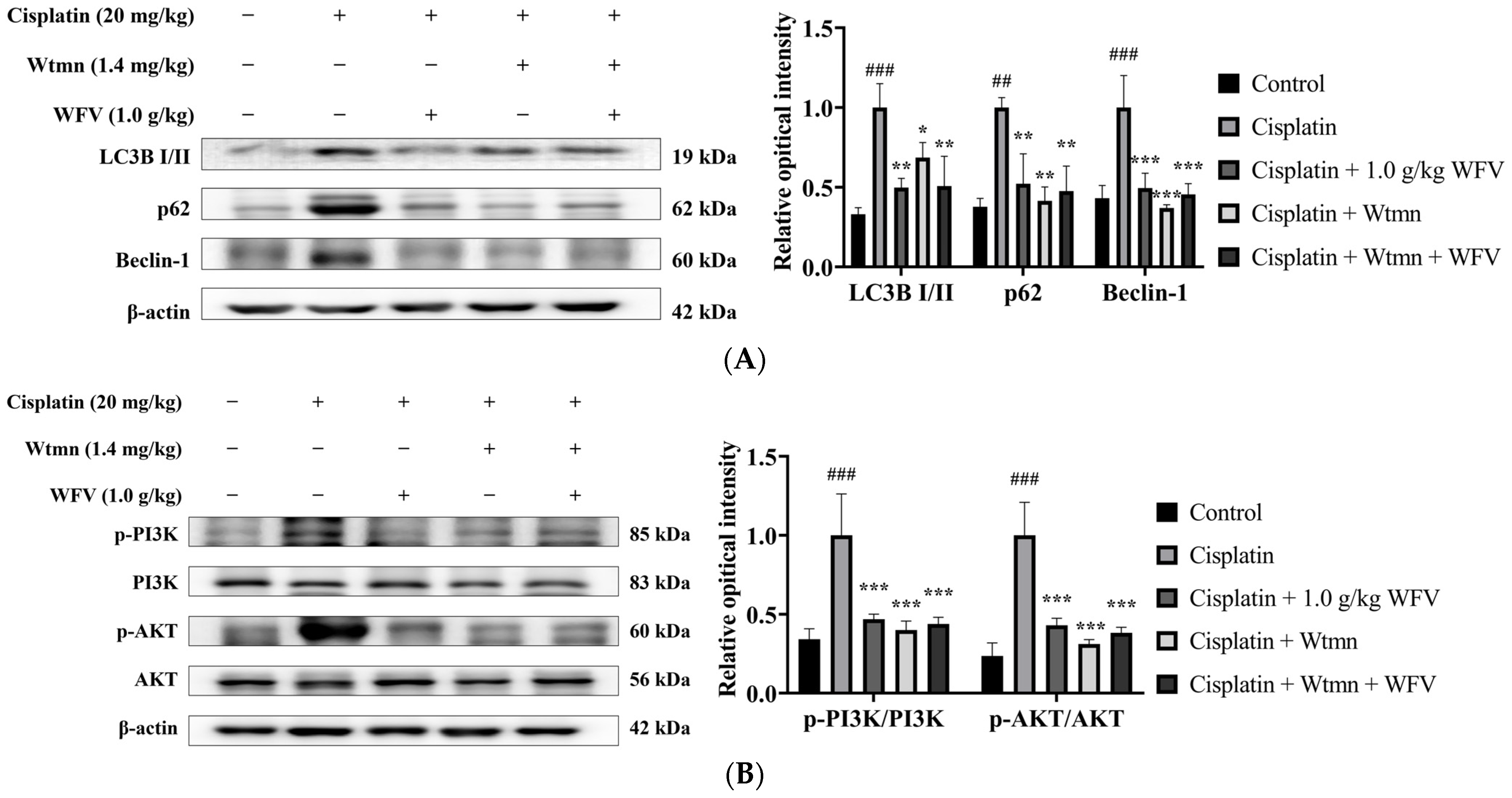 Ijms 24 09448 g009 Ijms 24 09448 g009