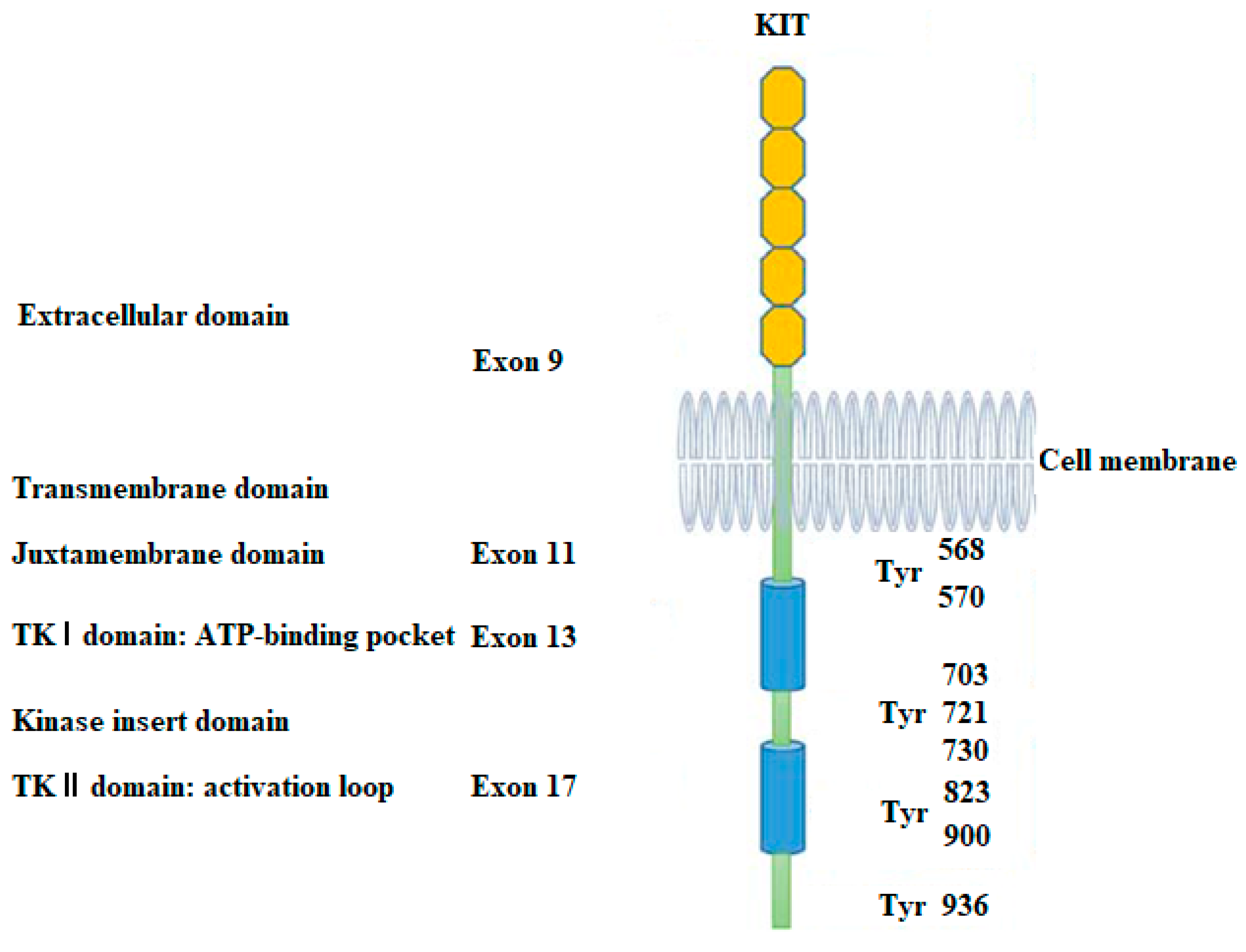 Ijms 24 09450 g001 Ijms 24 09450 g001