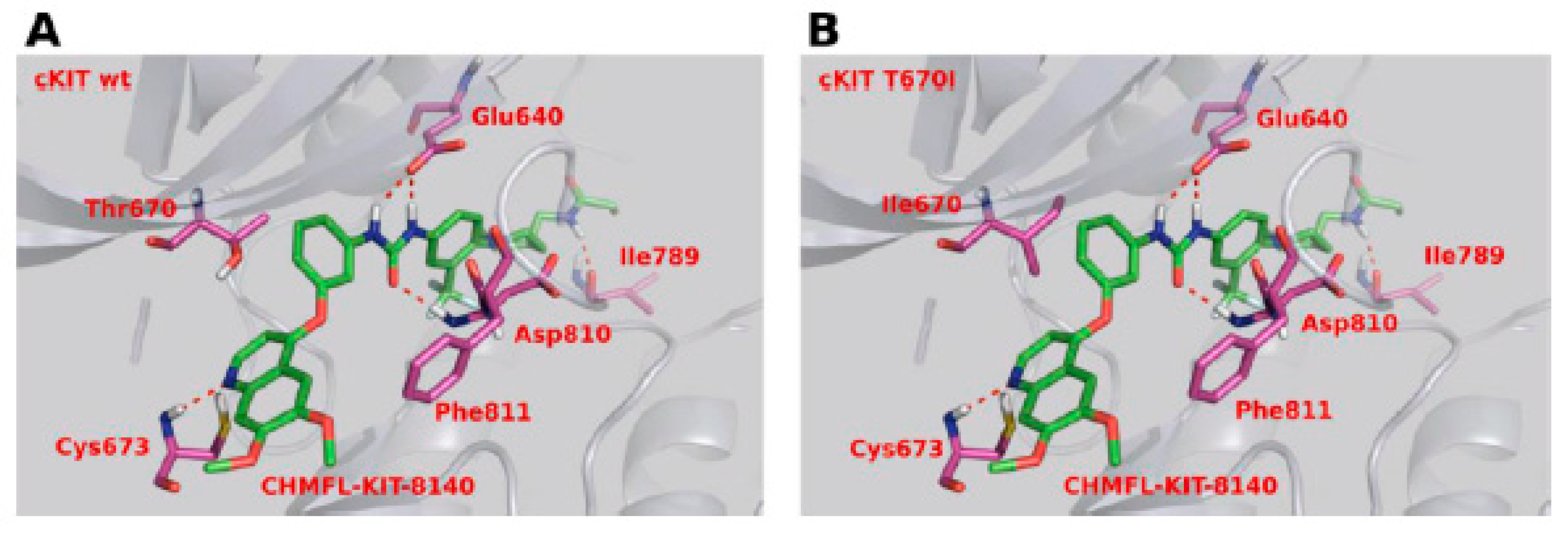 Ijms 24 09450 g006 Ijms 24 09450 g006