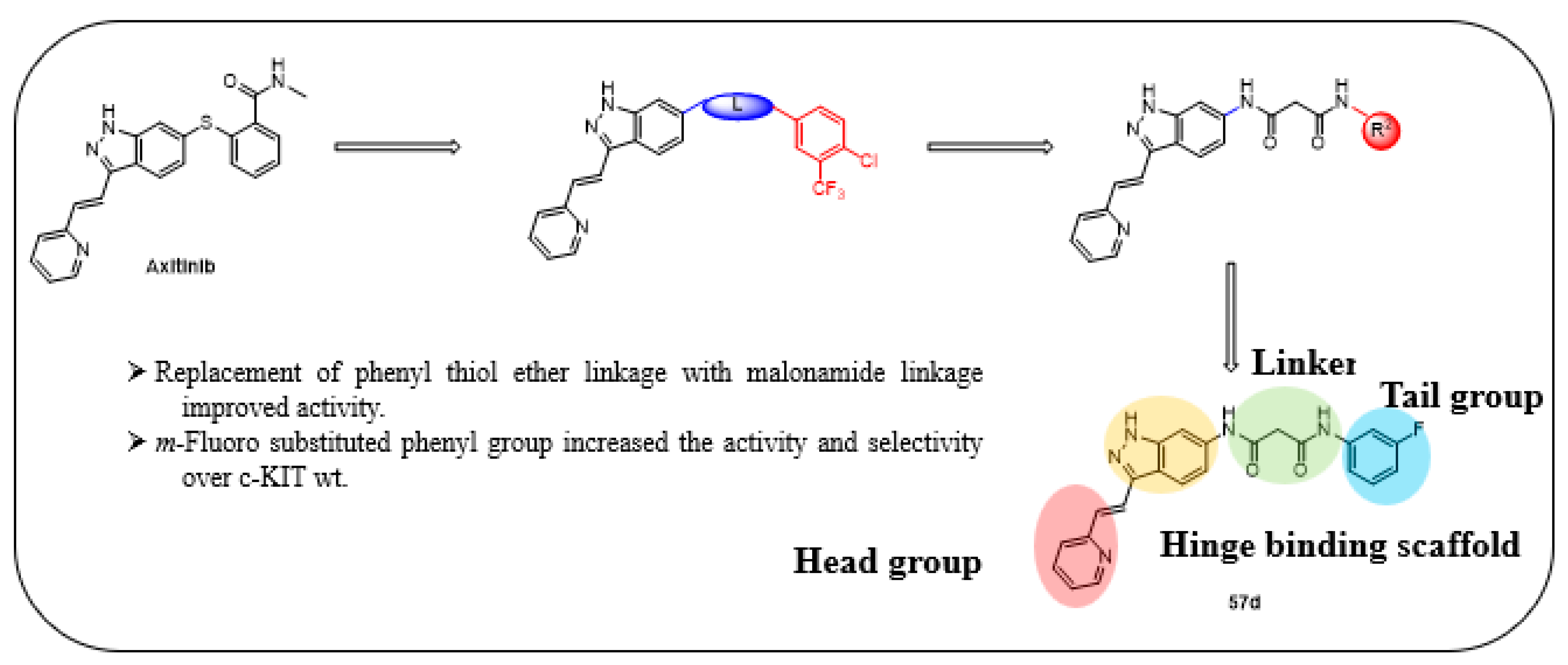 Ijms 24 09450 g009 Ijms 24 09450 g009