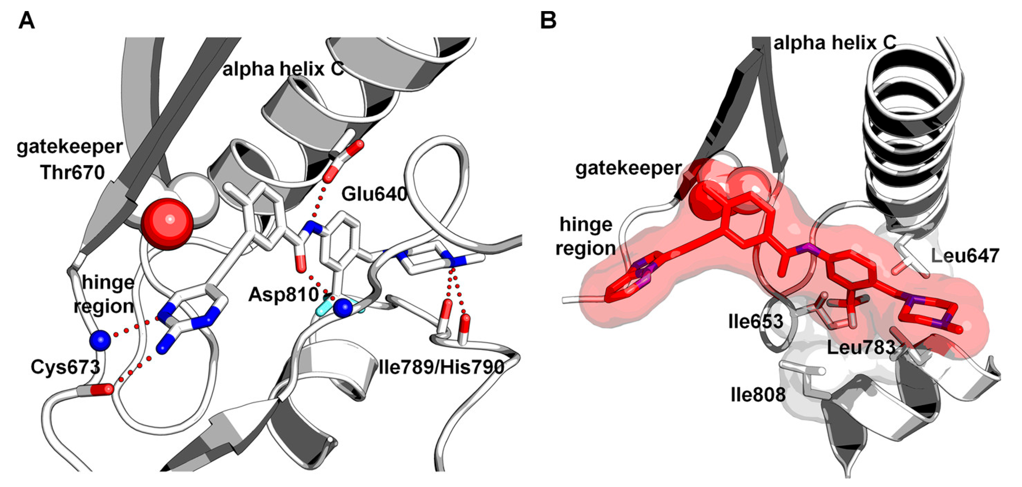 Ijms 24 09450 g012 Ijms 24 09450 g012