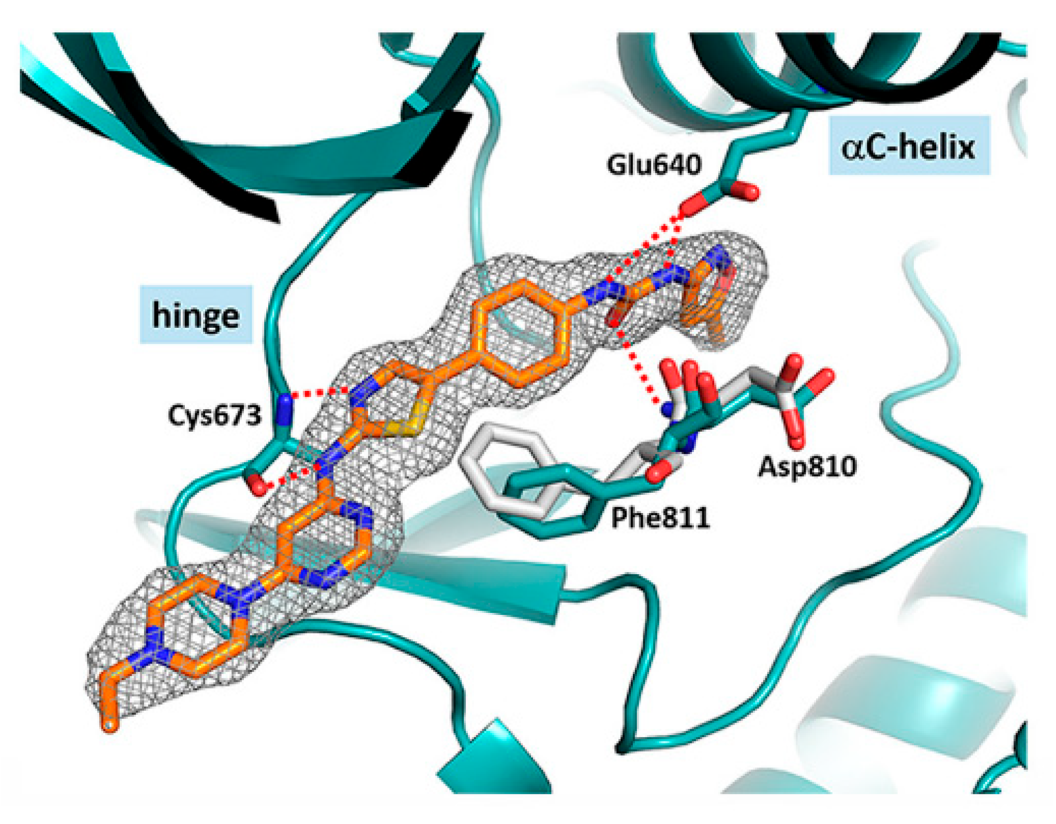 Ijms 24 09450 g016 Ijms 24 09450 g016
