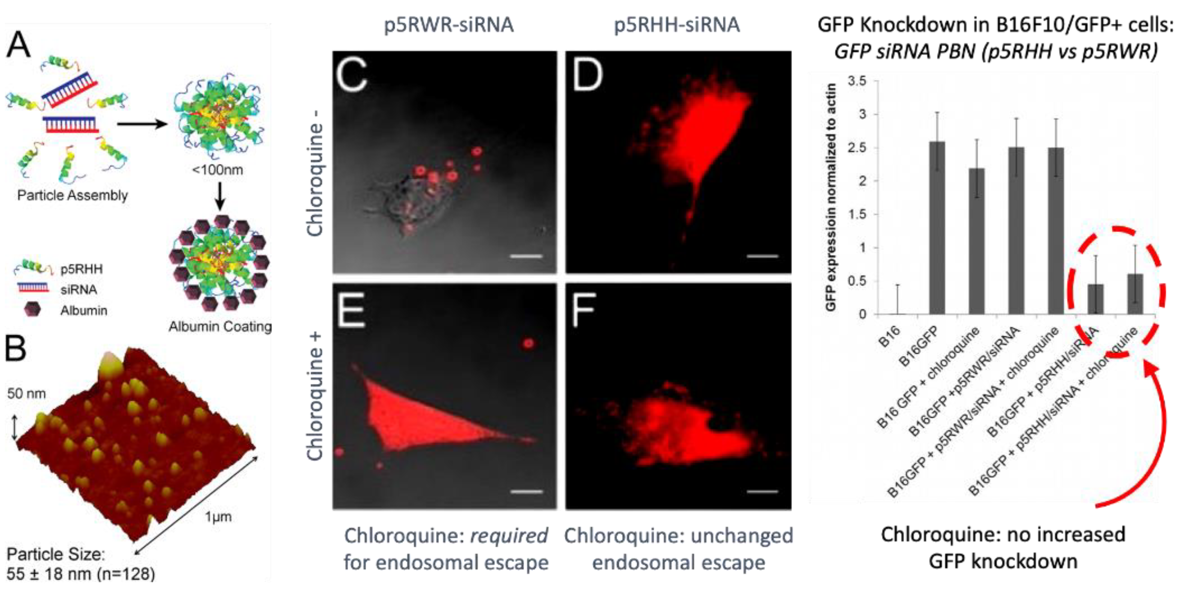 Ijms 24 09455 g005 Ijms 24 09455 g005