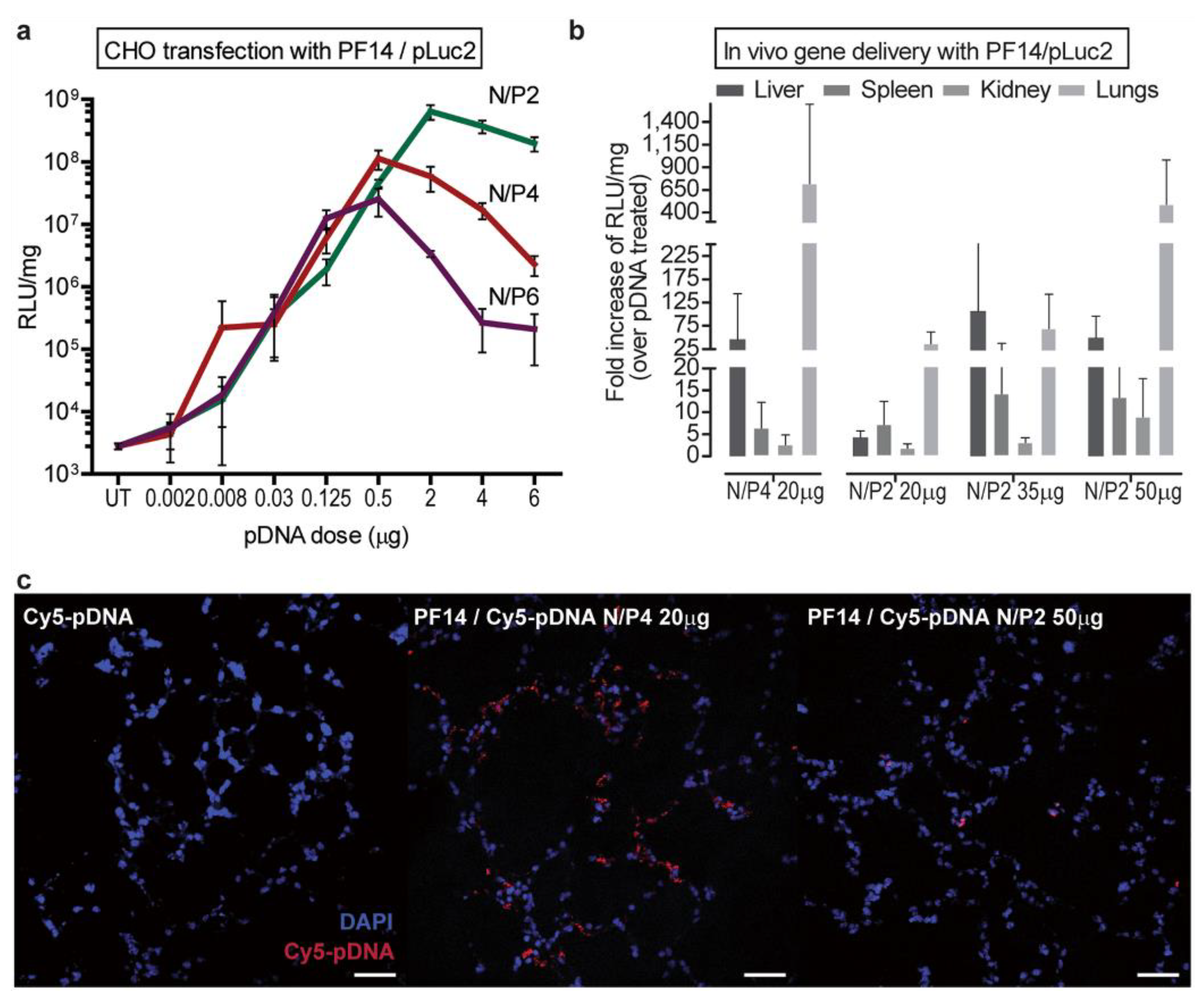 Ijms 24 09455 g006 Ijms 24 09455 g006