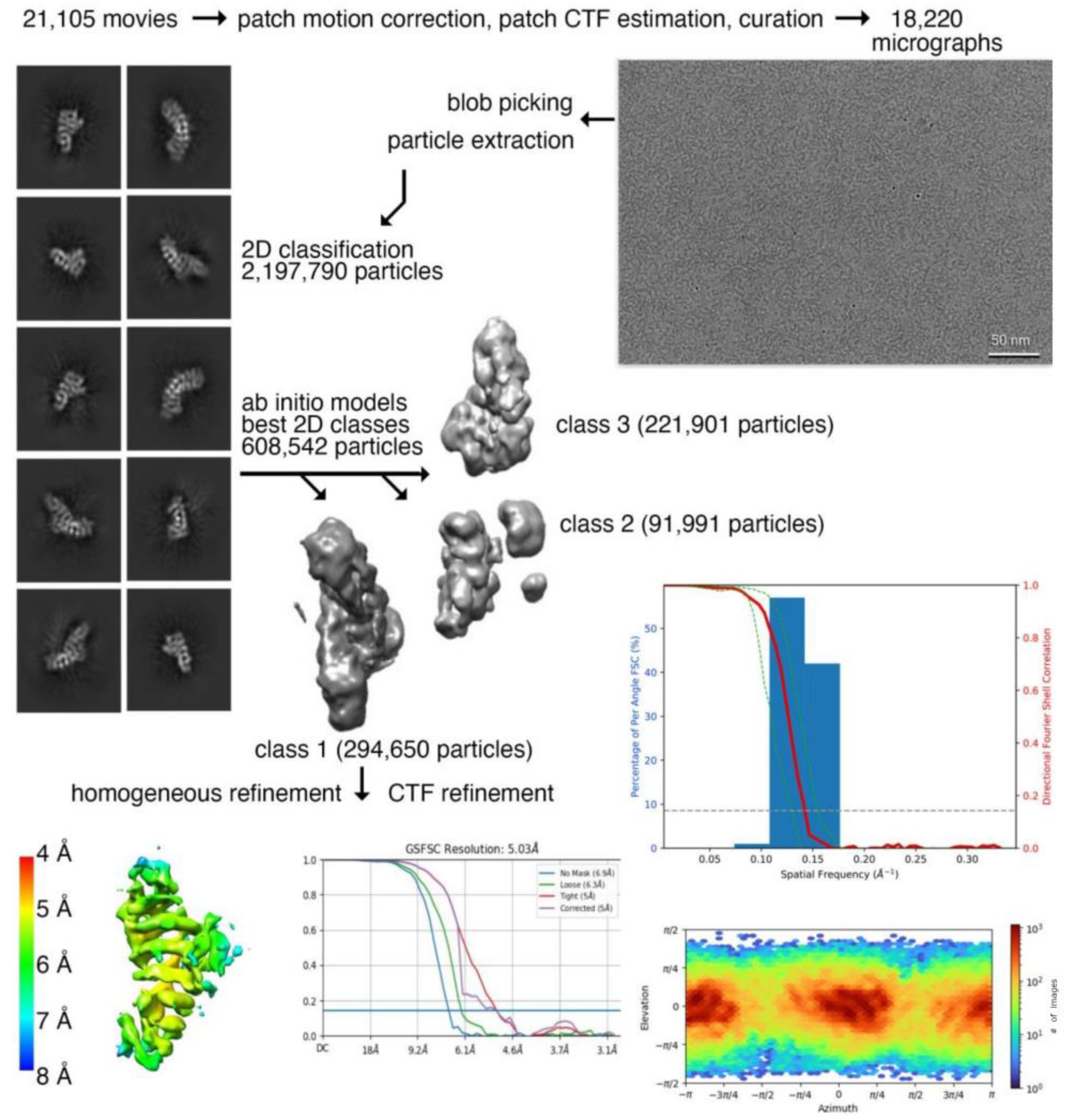 Ijms 24 09458 g001 Ijms 24 09458 g001