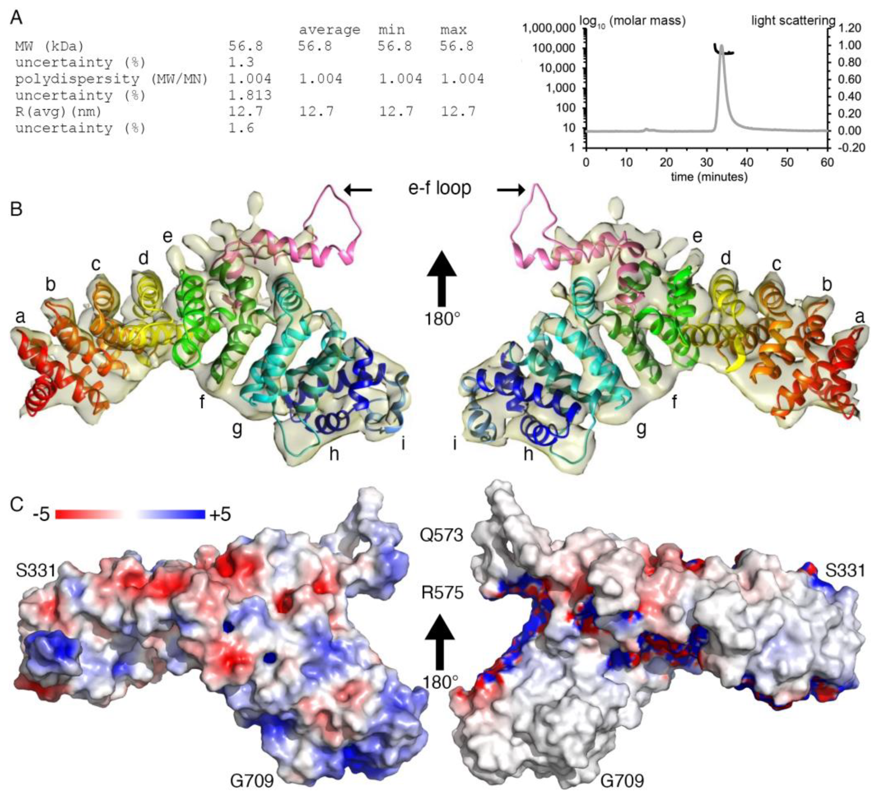 Ijms 24 09458 g002 Ijms 24 09458 g002