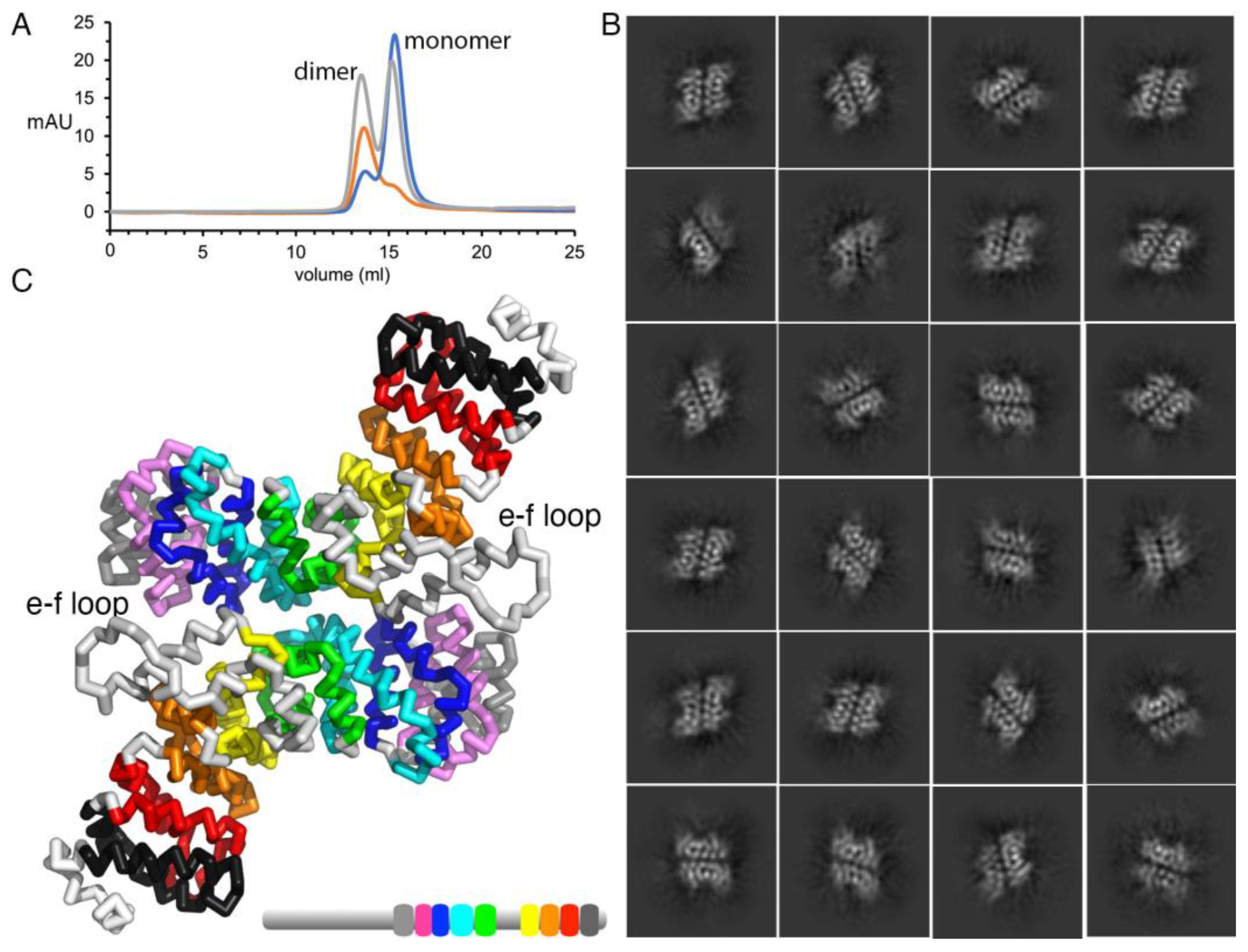 Ijms 24 09458 g004 Ijms 24 09458 g004