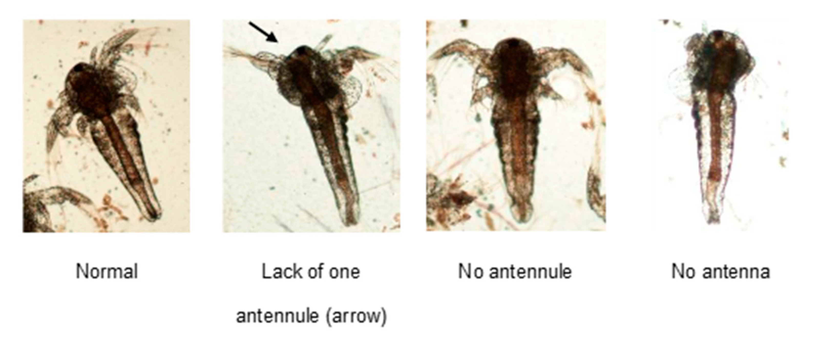 Ijms 24 09478 g011 Ijms 24 09478 g011