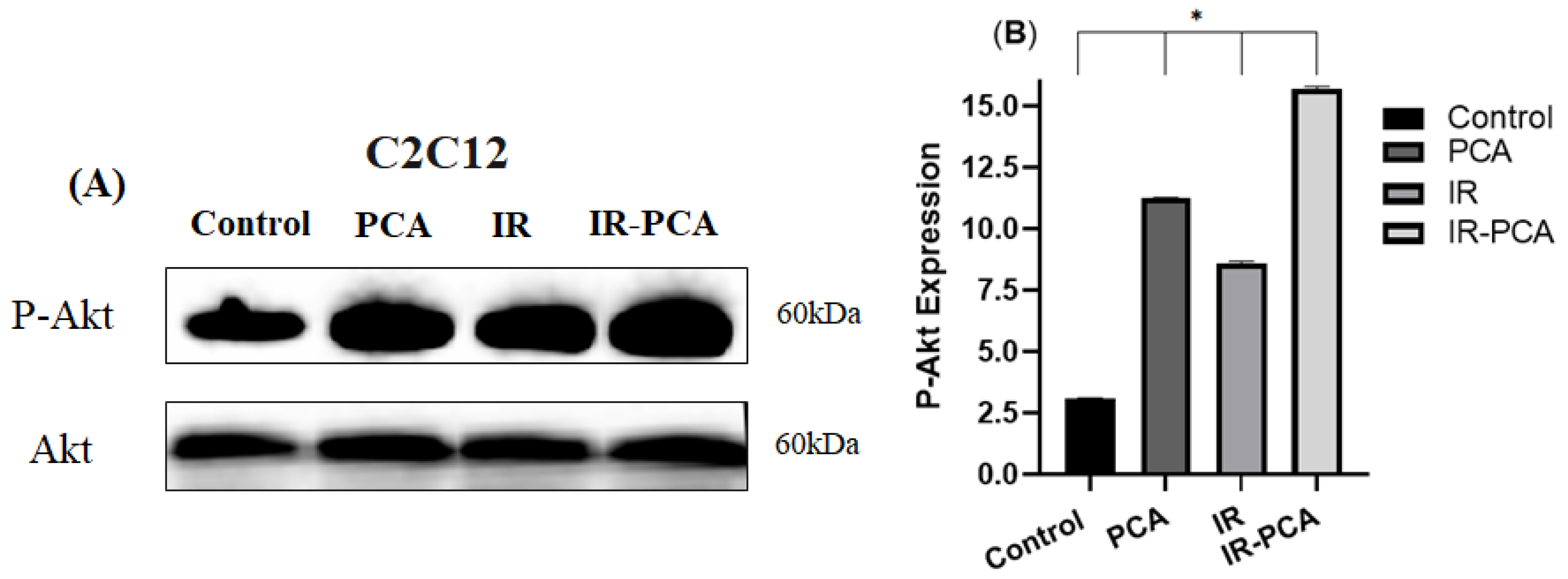 Ijms 24 09490 g009 Ijms 24 09490 g009