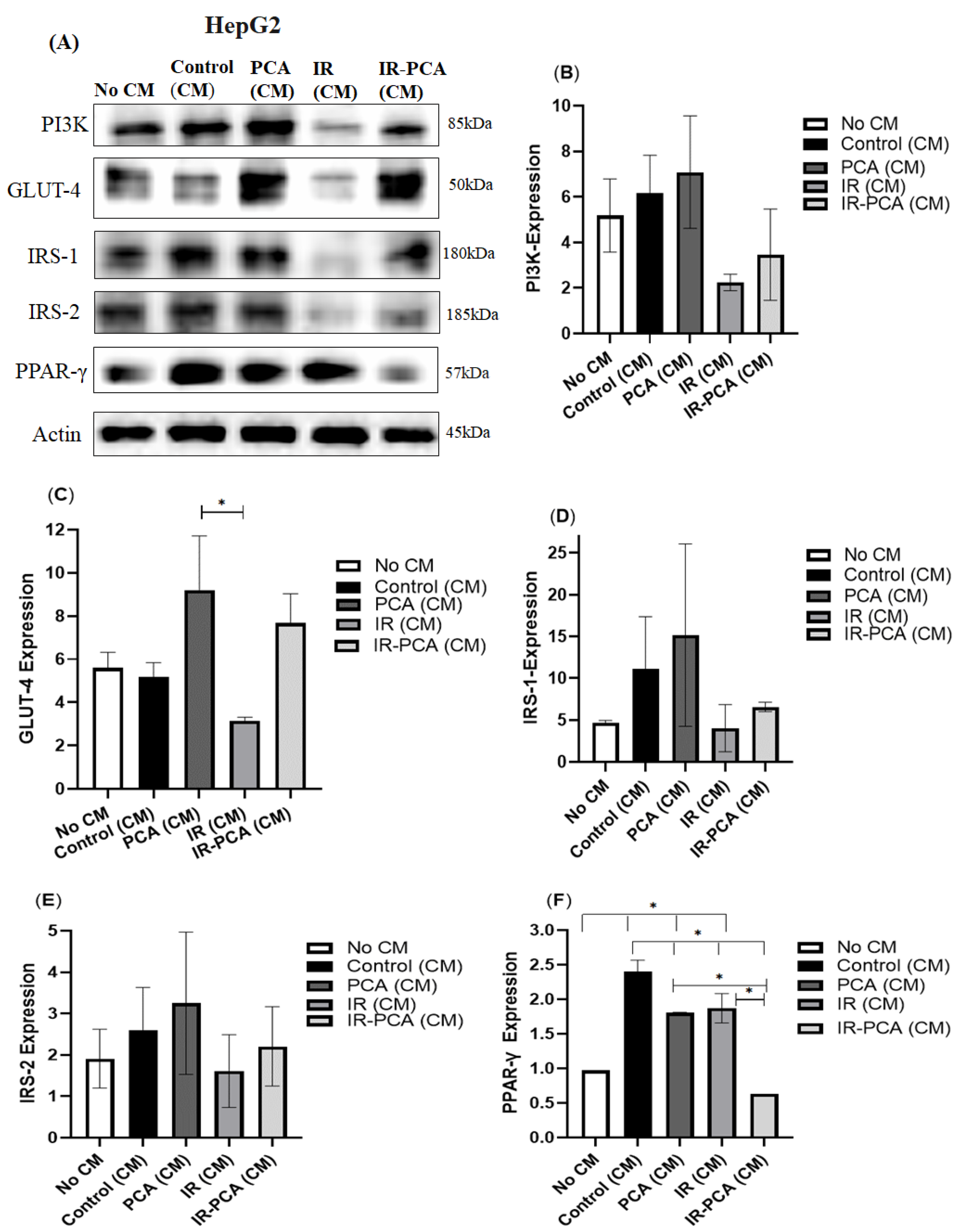 Ijms 24 09490 g010 Ijms 24 09490 g010