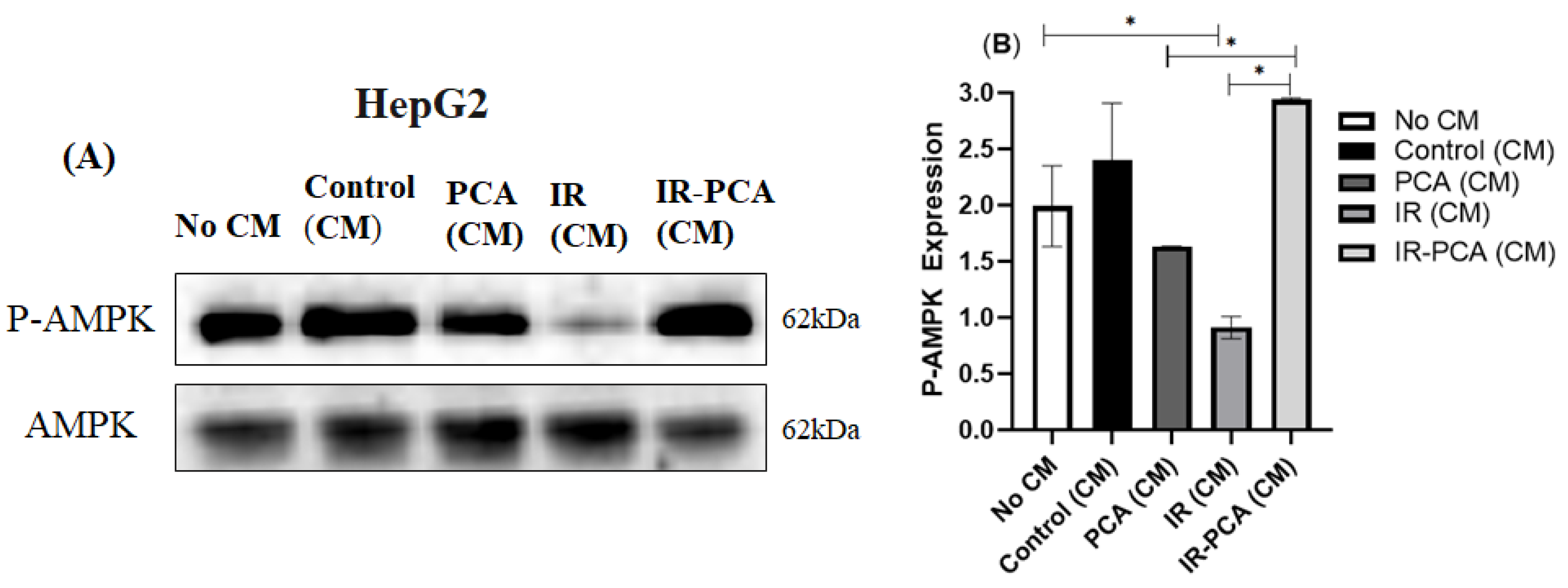 Ijms 24 09490 g011 Ijms 24 09490 g011