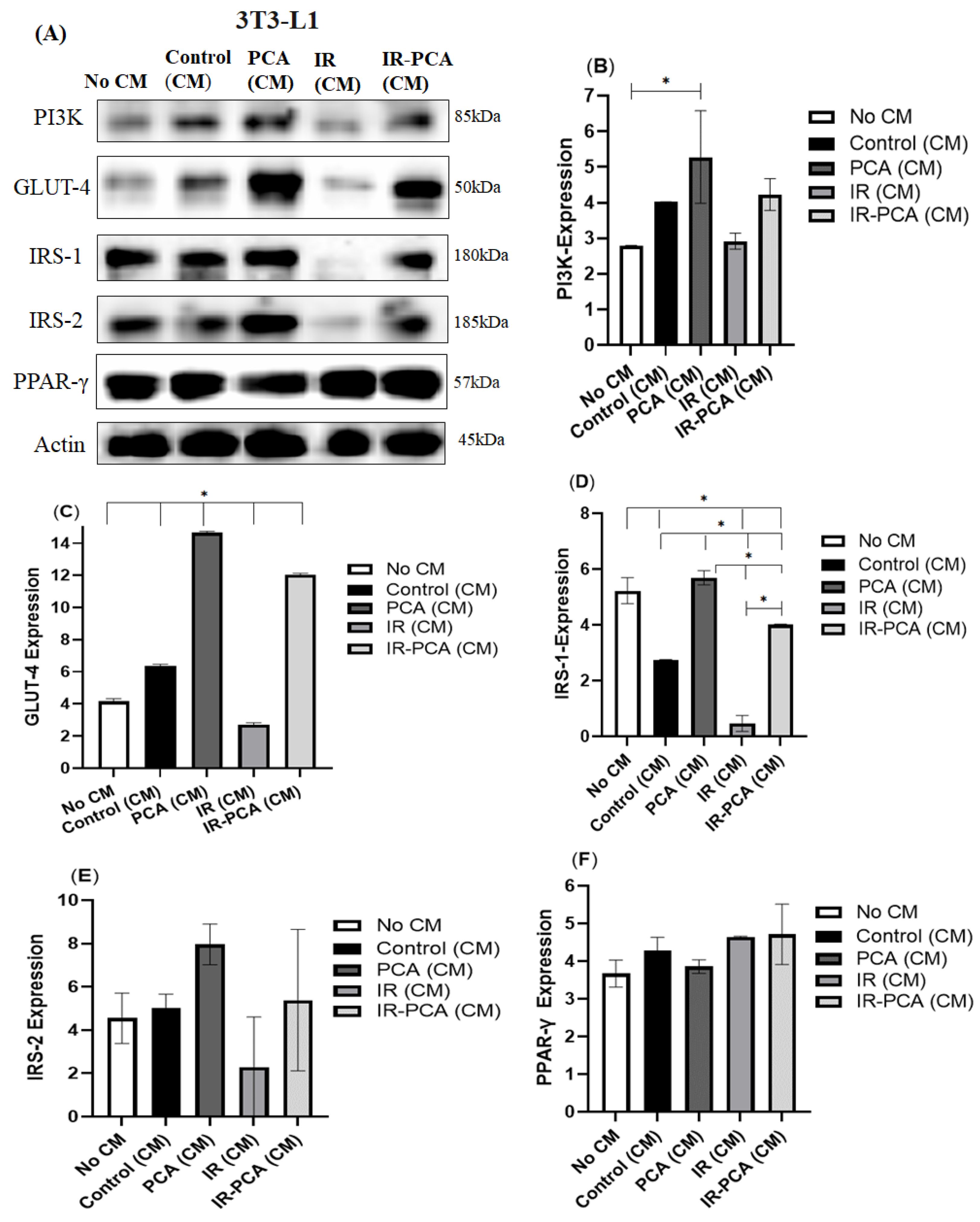 Ijms 24 09490 g013 Ijms 24 09490 g013