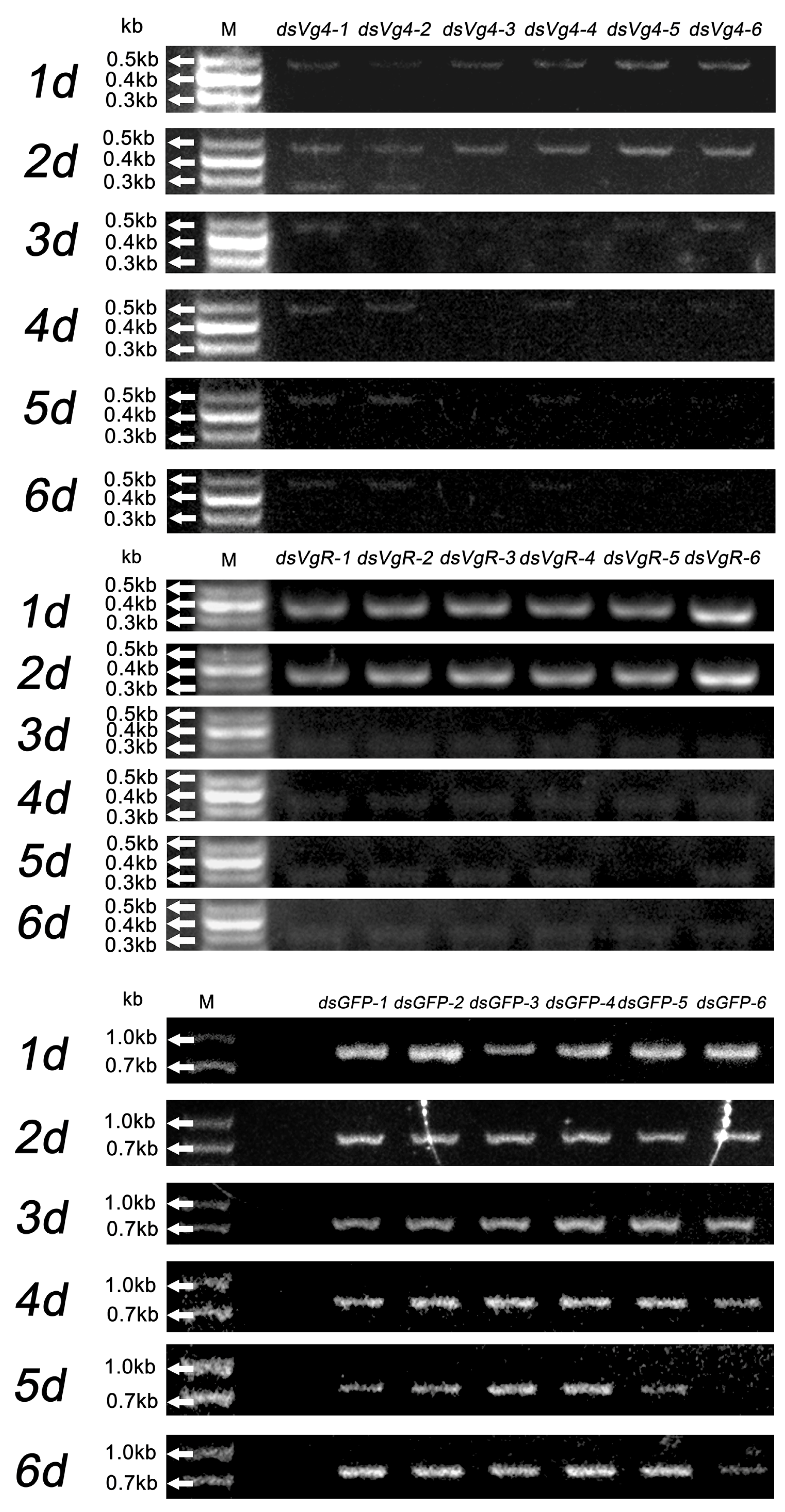 Ijms 24 09497 g001 Ijms 24 09497 g001