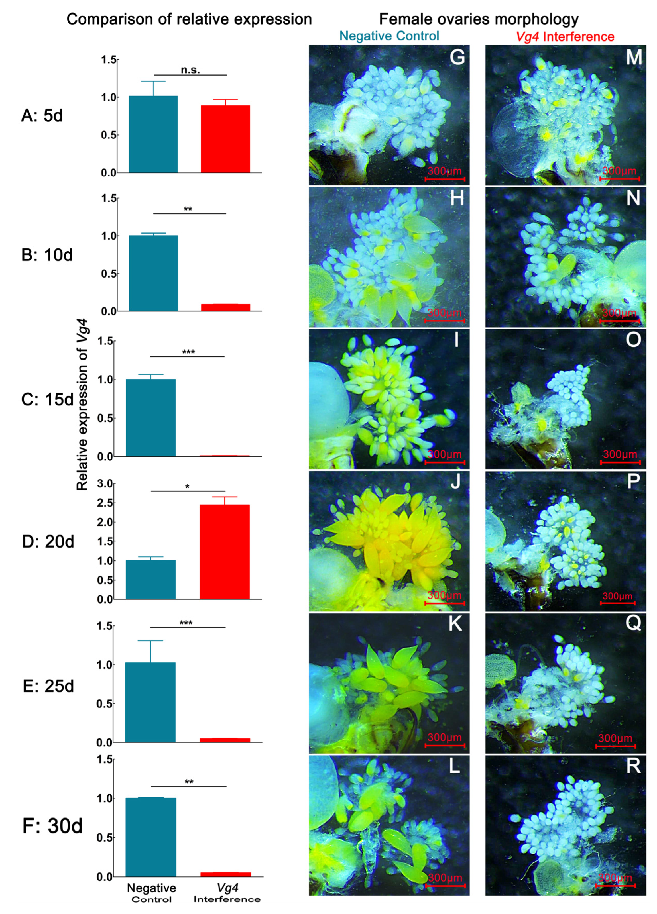Ijms 24 09497 g002 Ijms 24 09497 g002