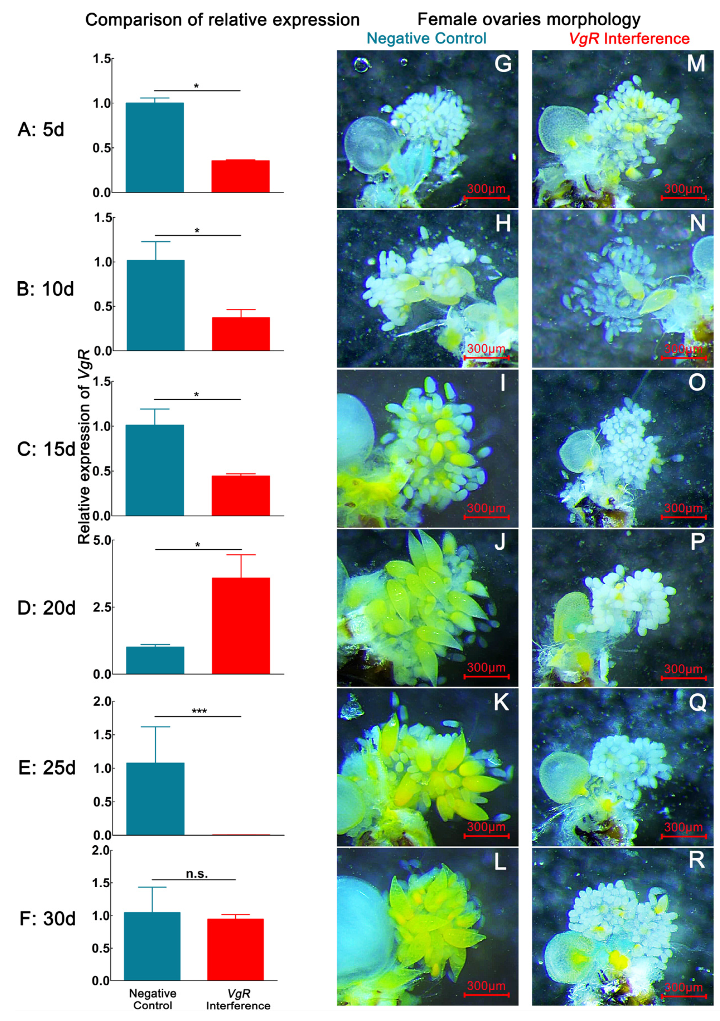 Ijms 24 09497 g003 Ijms 24 09497 g003