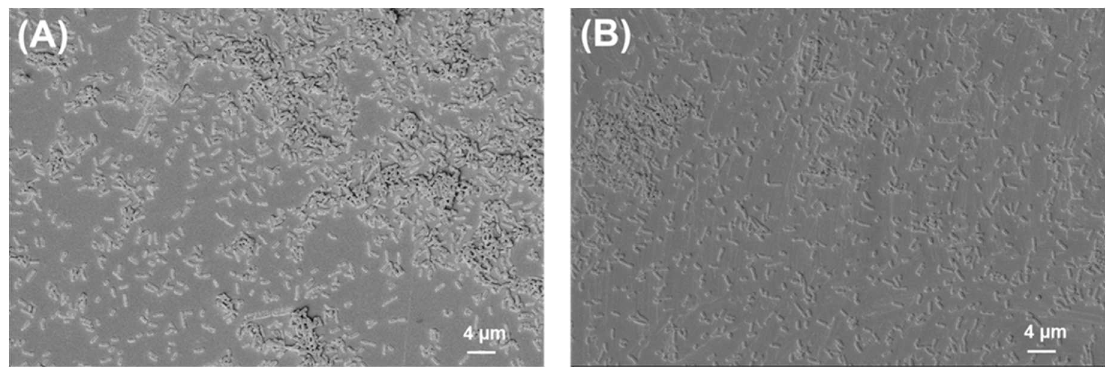 Ijms 24 09504 g005 Ijms 24 09504 g005