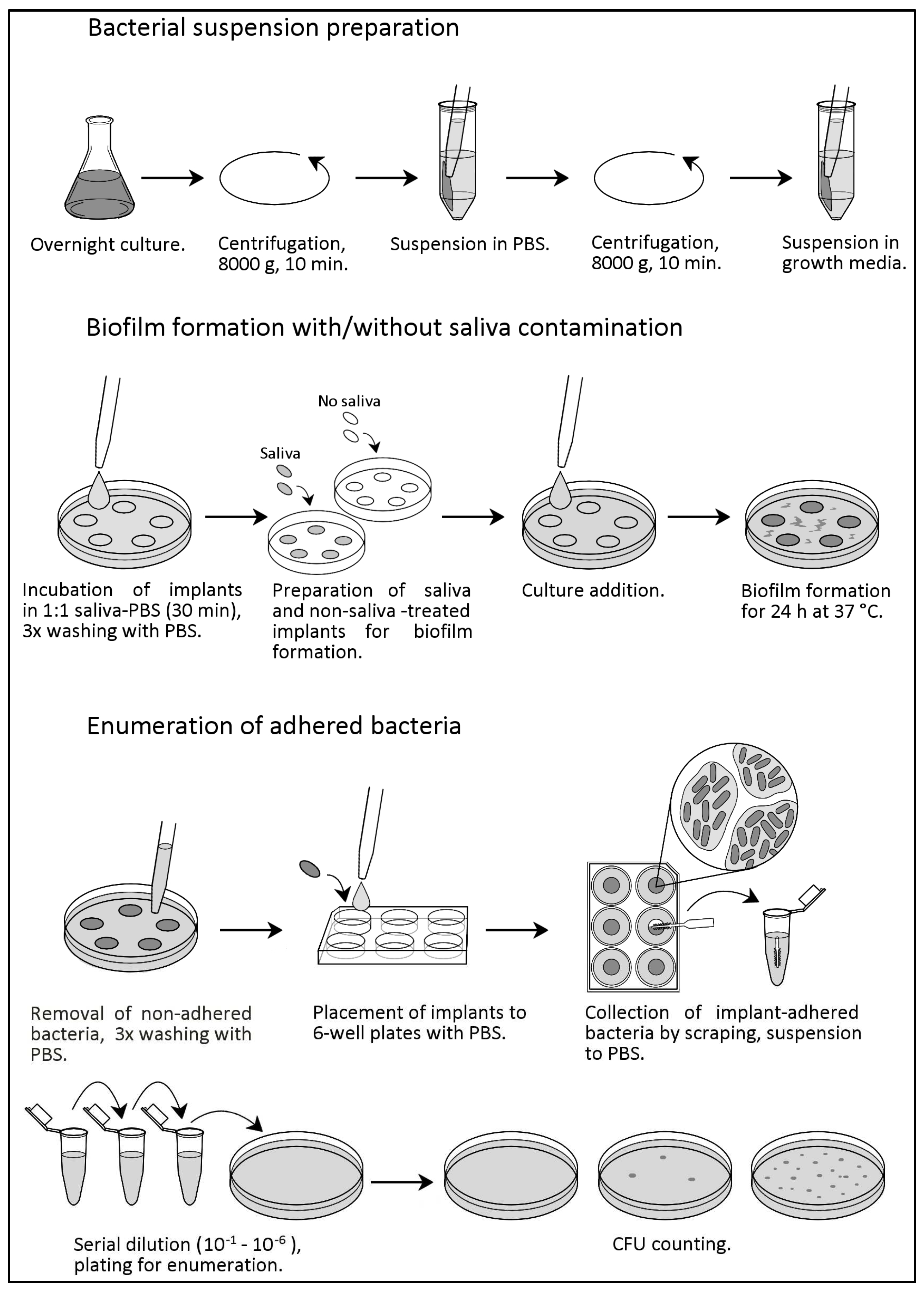 Ijms 24 09504 g006 Ijms 24 09504 g006