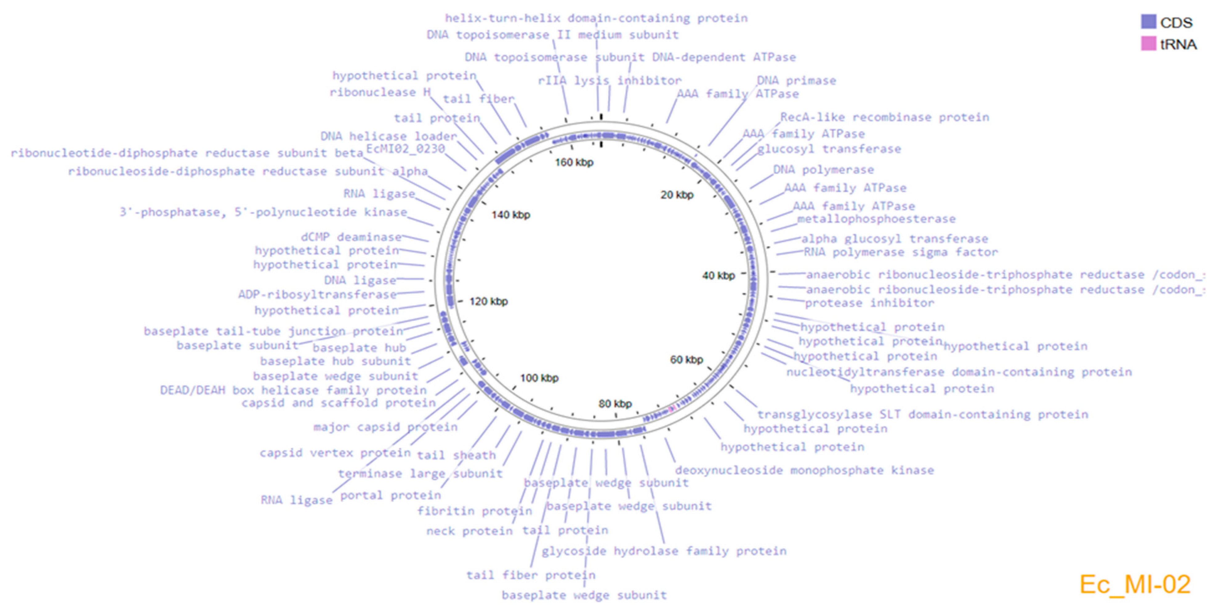 Ijms 24 09506 g004 Ijms 24 09506 g004