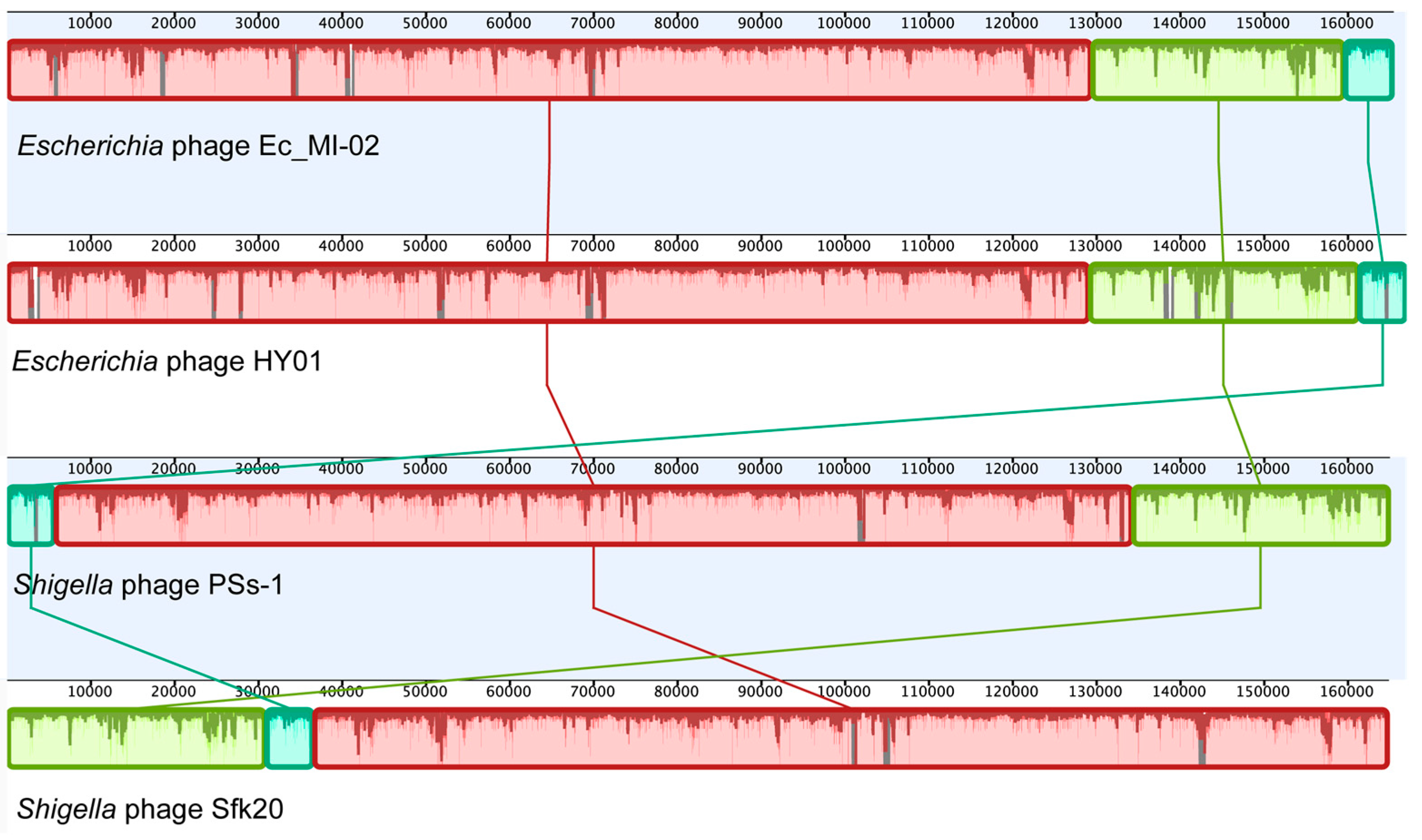 Ijms 24 09506 g005 Ijms 24 09506 g005