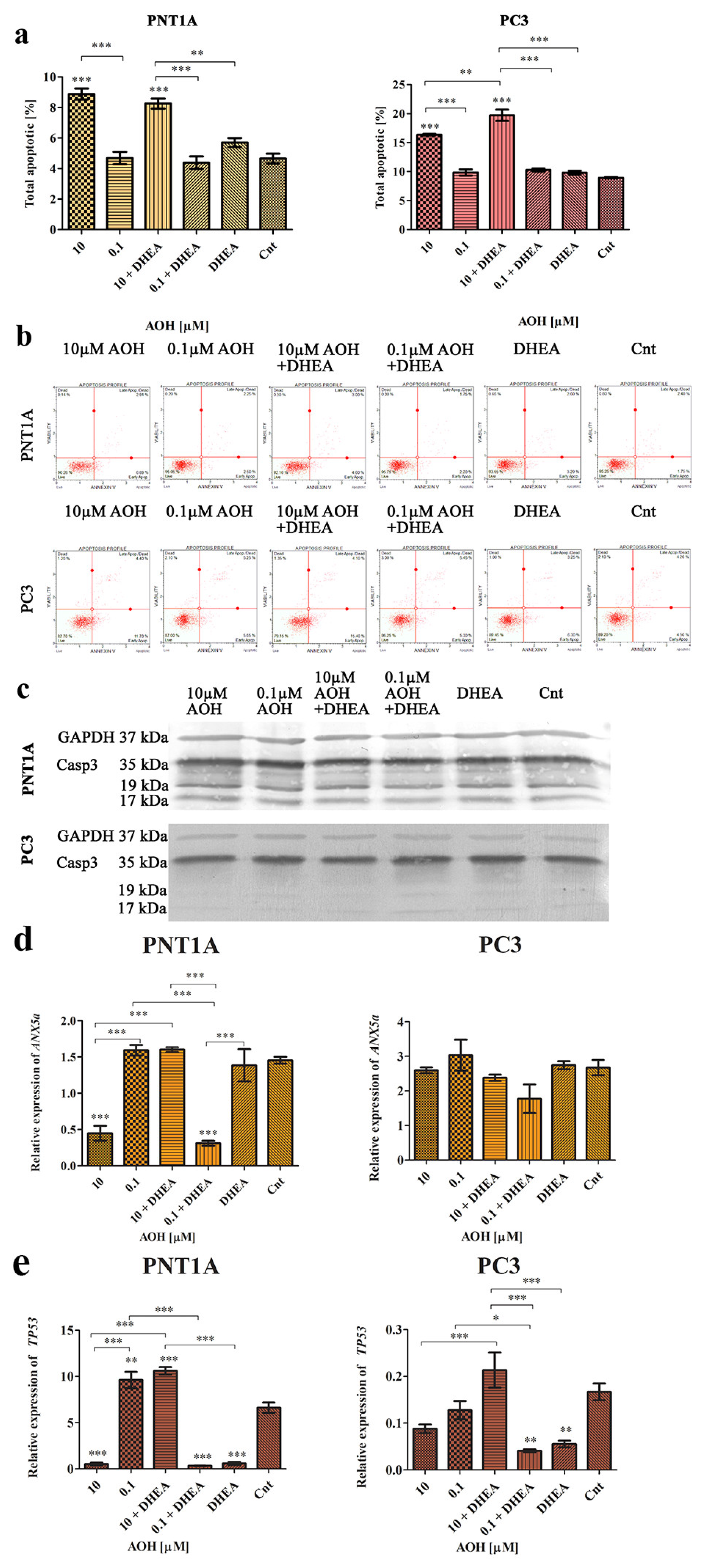 Ijms 24 09513 g005 Ijms 24 09513 g005