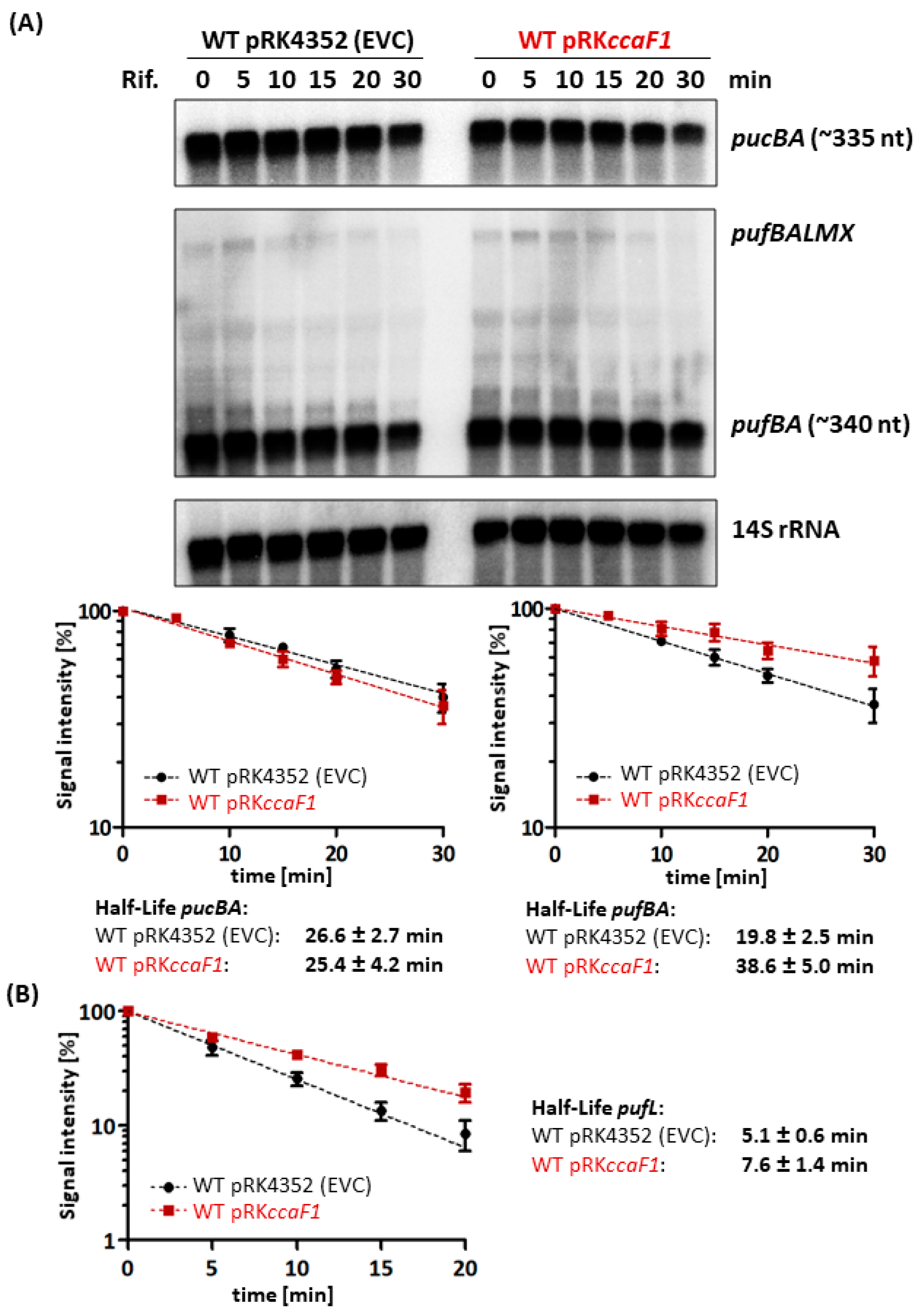 Ijms 24 09515 g004 Ijms 24 09515 g004