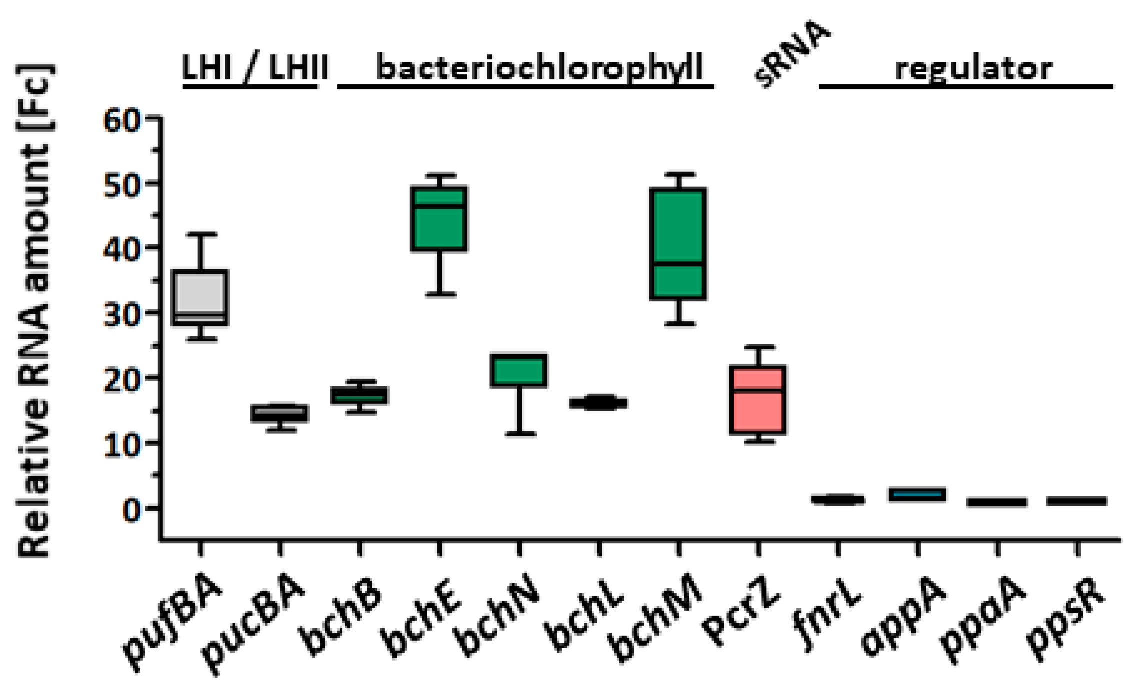 Ijms 24 09515 g006 Ijms 24 09515 g006