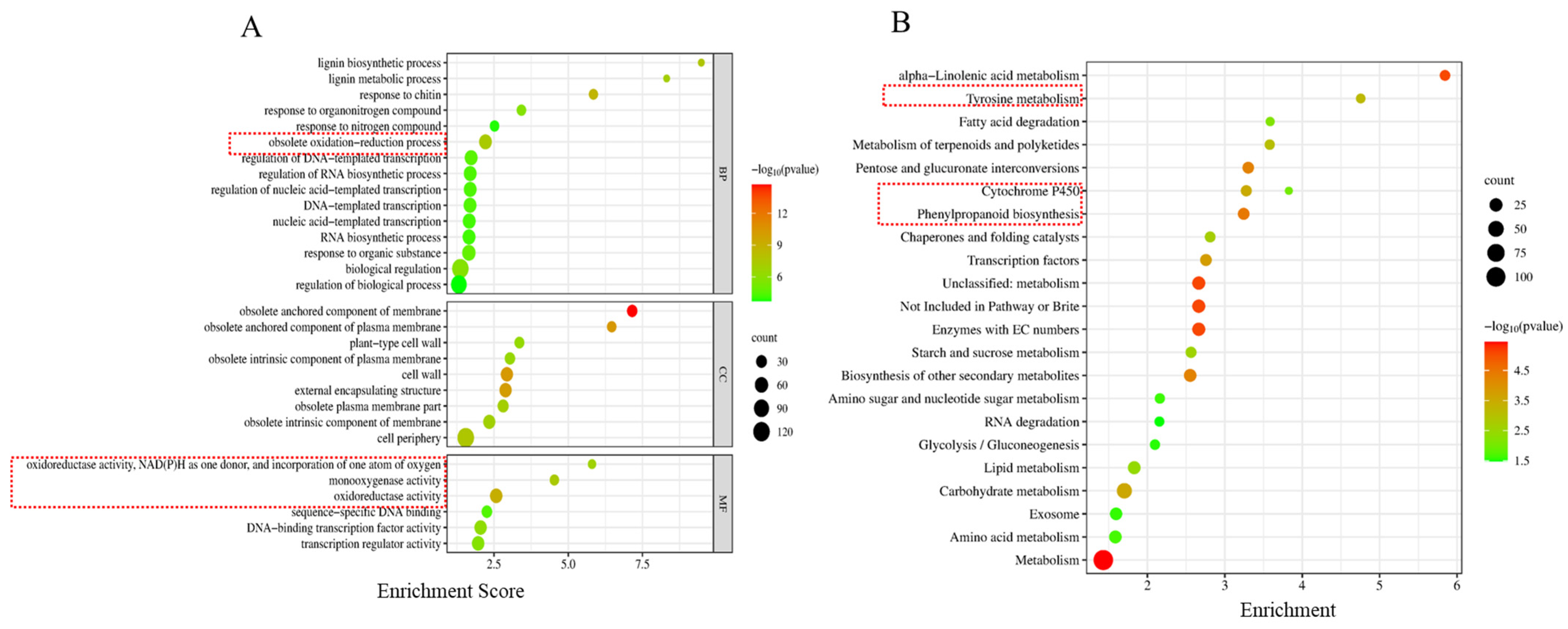 Ijms 24 09517 g005a Ijms 24 09517 g005a