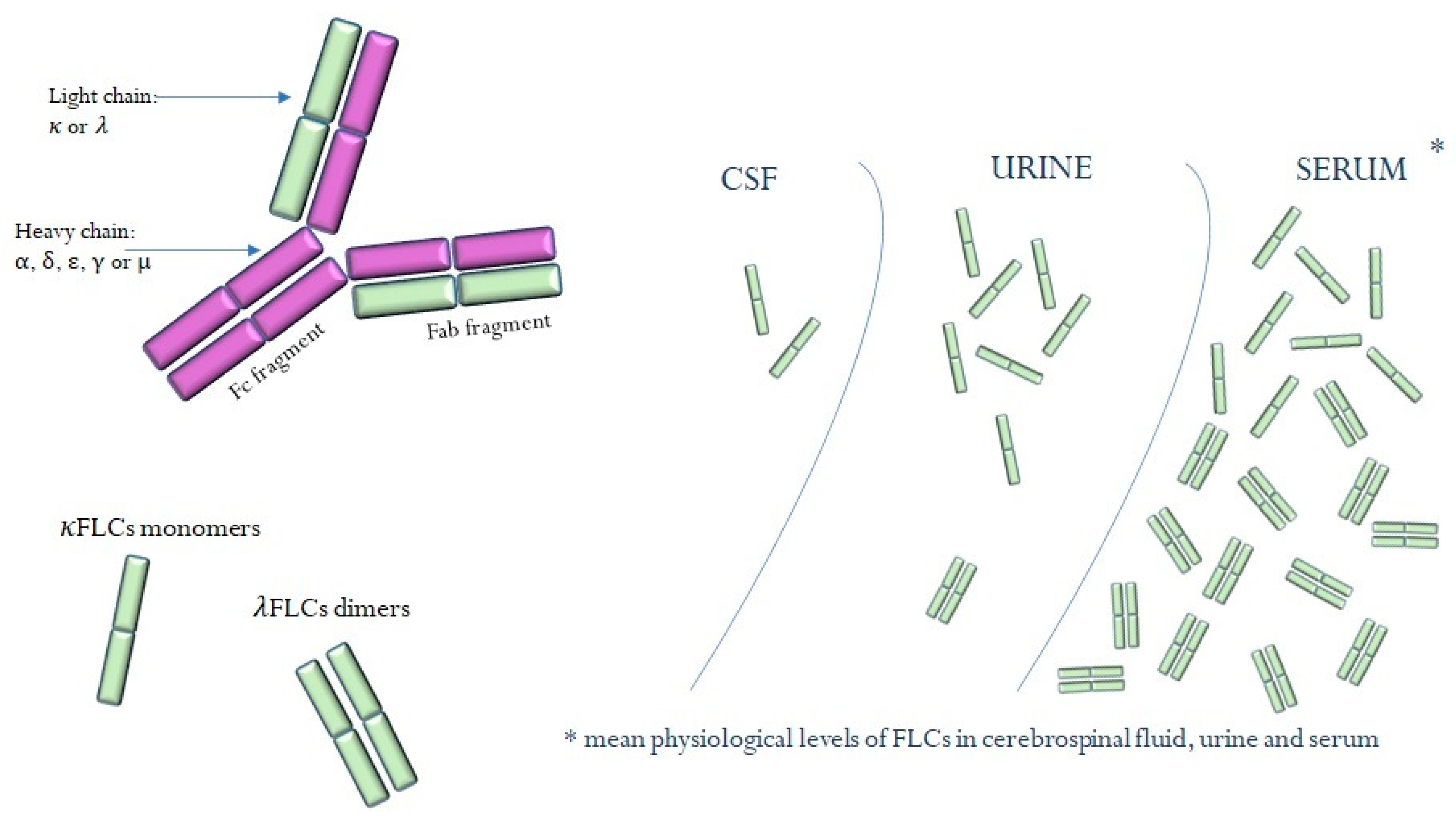 Dripping Styrke krater IJMS | Free Full-Text | Free Light Chains &kappa; and &lambda; as New  Biomarkers of Selected Diseases