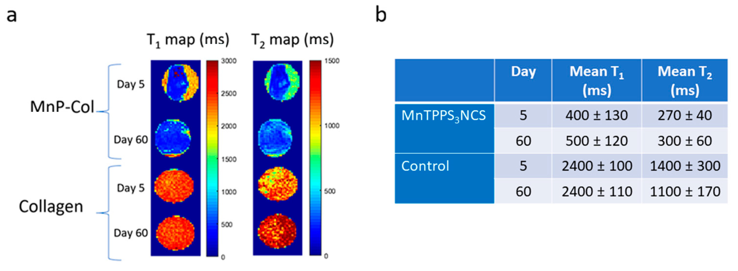 Ijms 24 09532 g007 Ijms 24 09532 g007