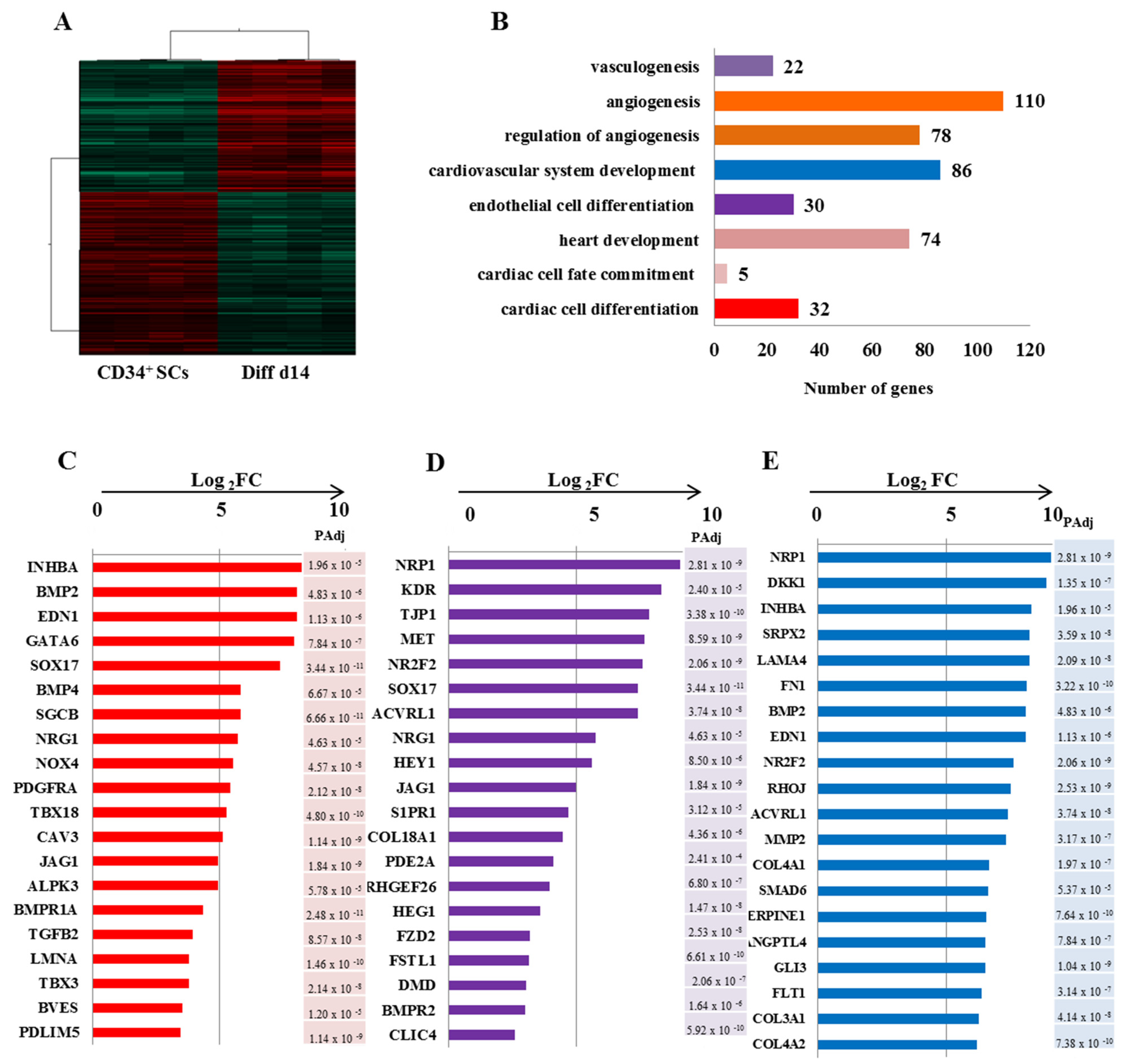 Ijms 24 09551 g005 Ijms 24 09551 g005