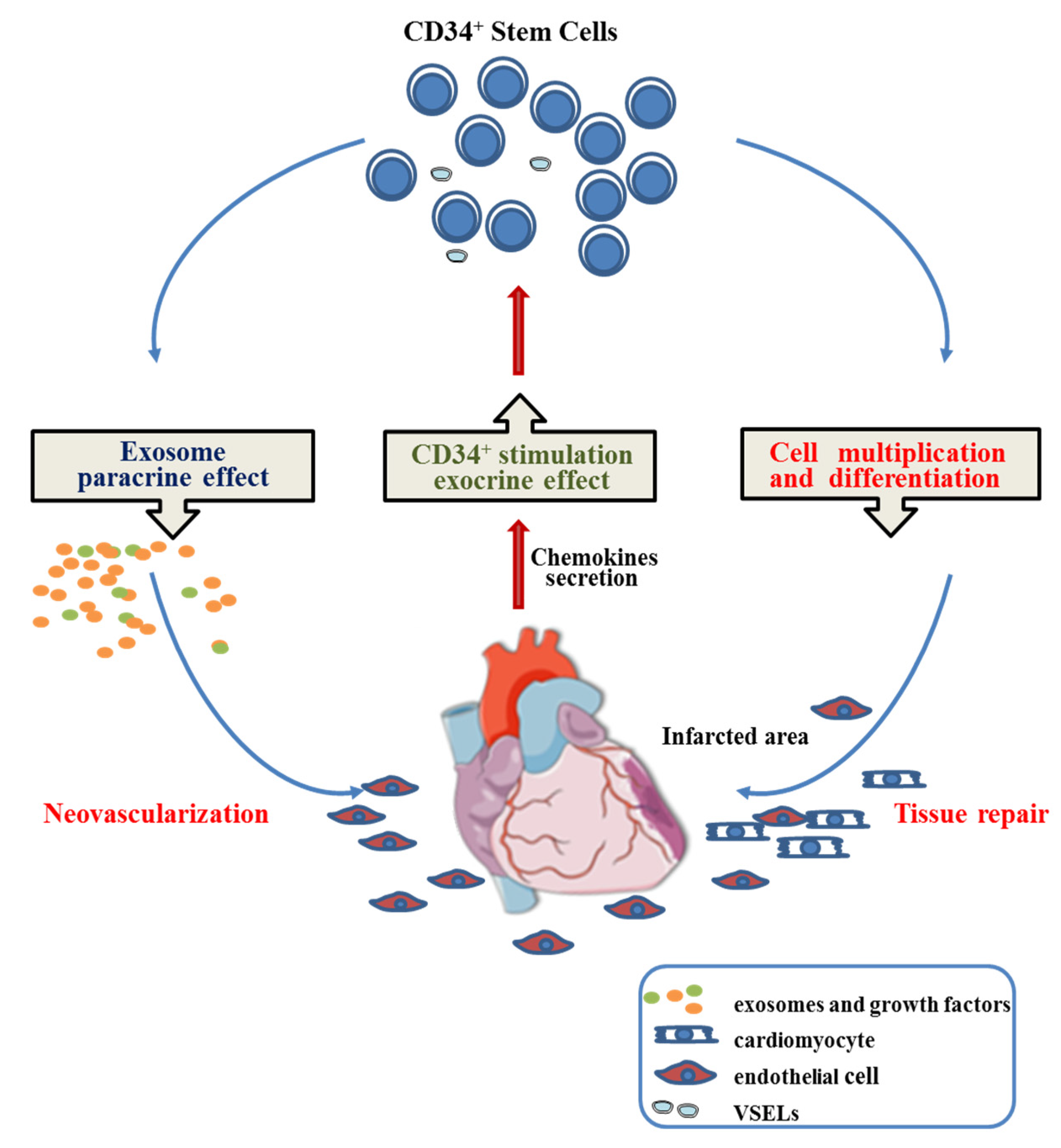 Ijms 24 09551 g009 Ijms 24 09551 g009