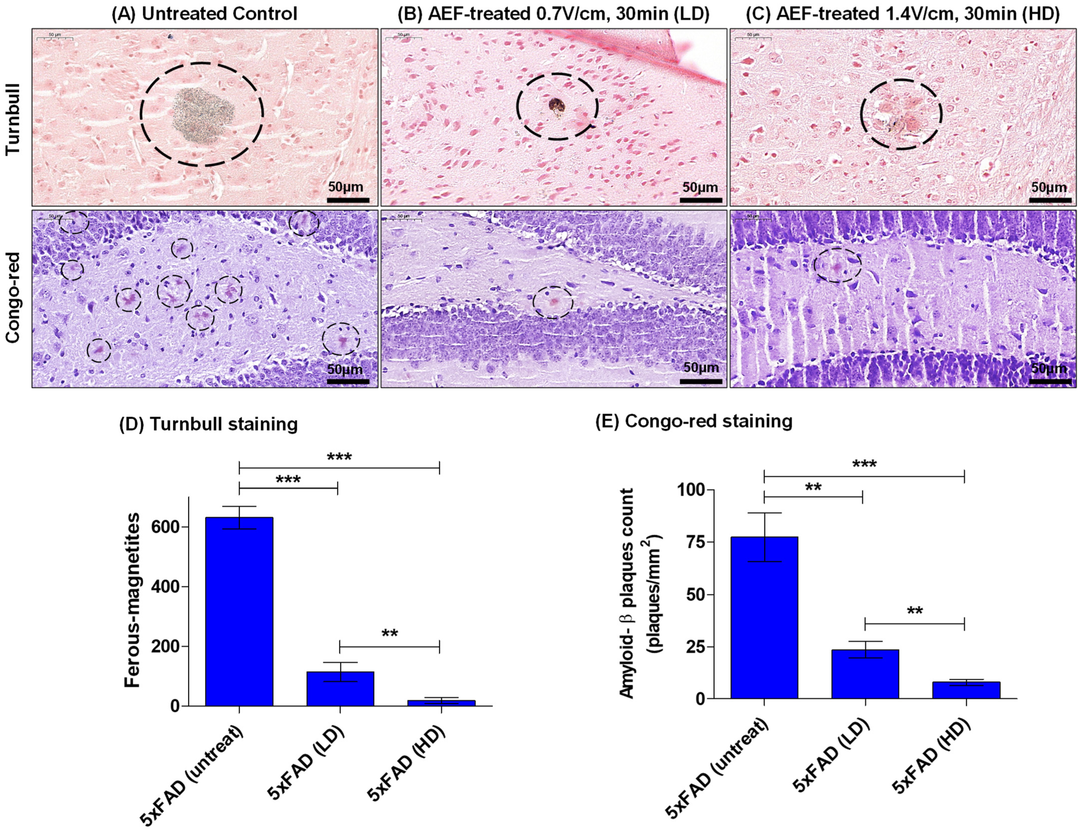 Ijms 24 09552 g004 Ijms 24 09552 g004