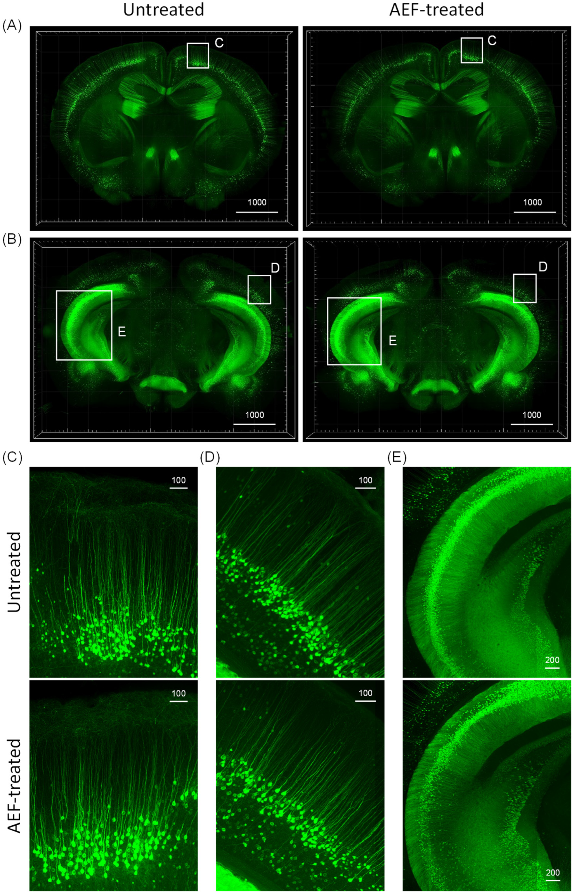 Ijms 24 09552 g007 Ijms 24 09552 g007