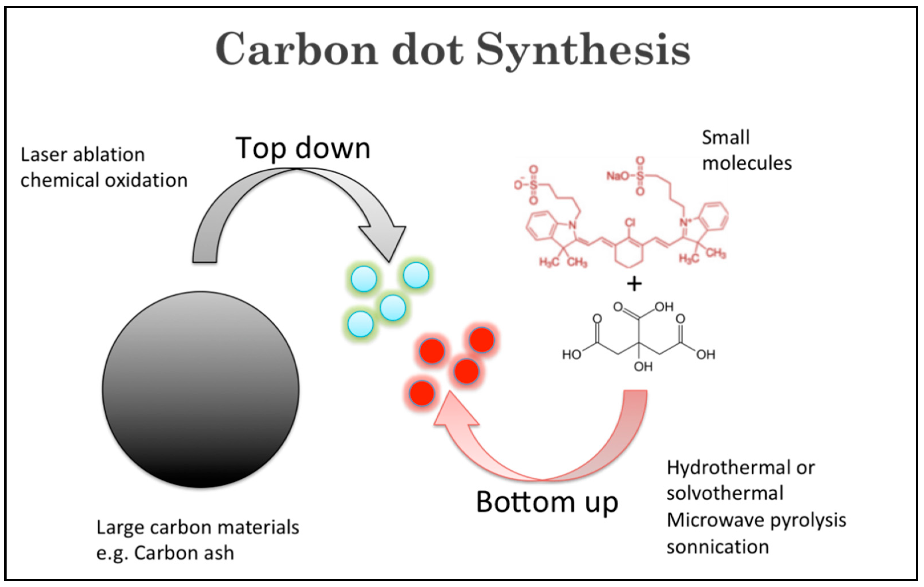 Ijms 24 09562 g002 Ijms 24 09562 g002