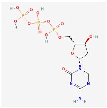Ijms 24 09562 i005 Ijms 24 09562 i005