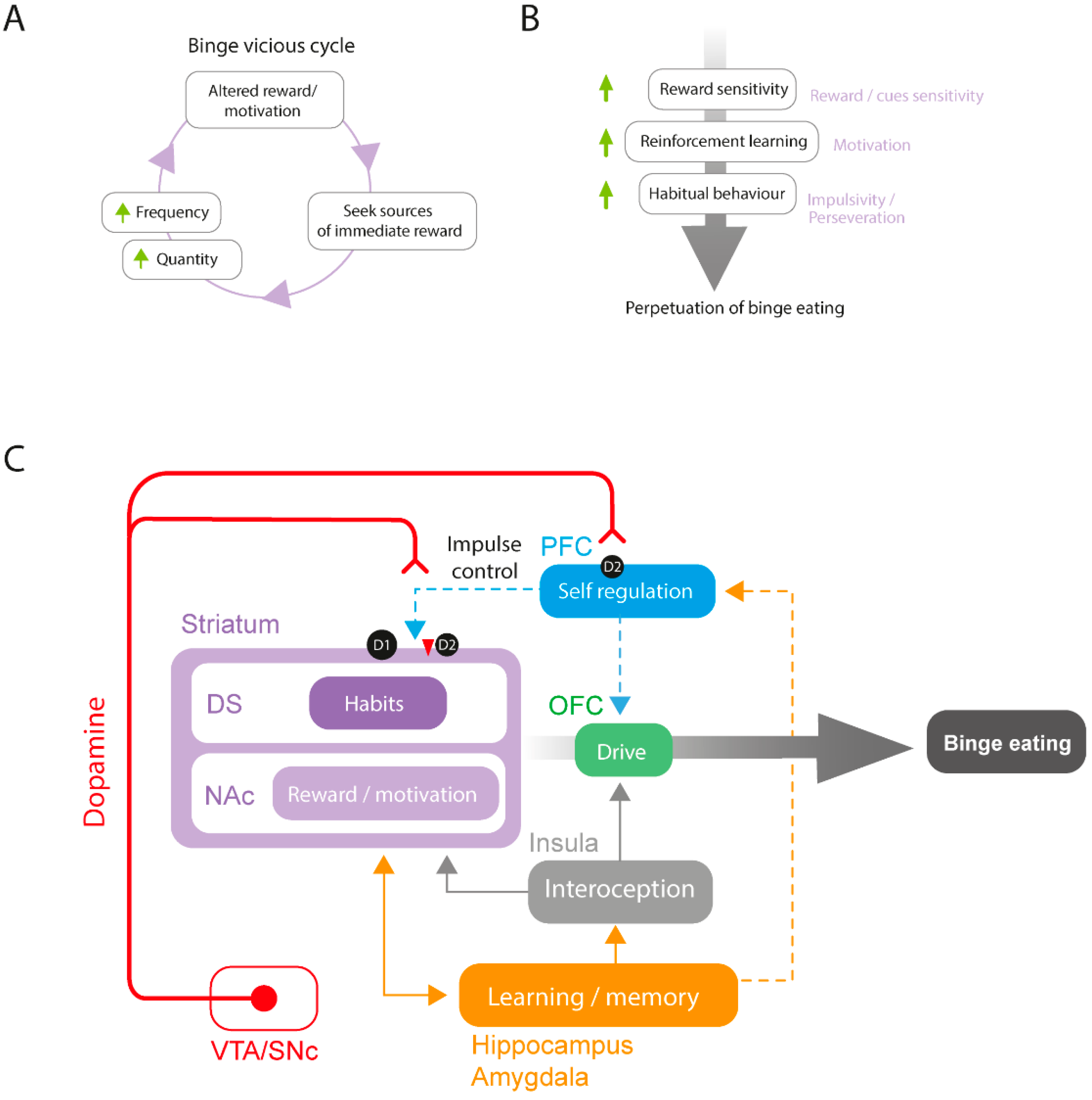 The Role of the Endocannabinoid System in Binge Eating Disorder