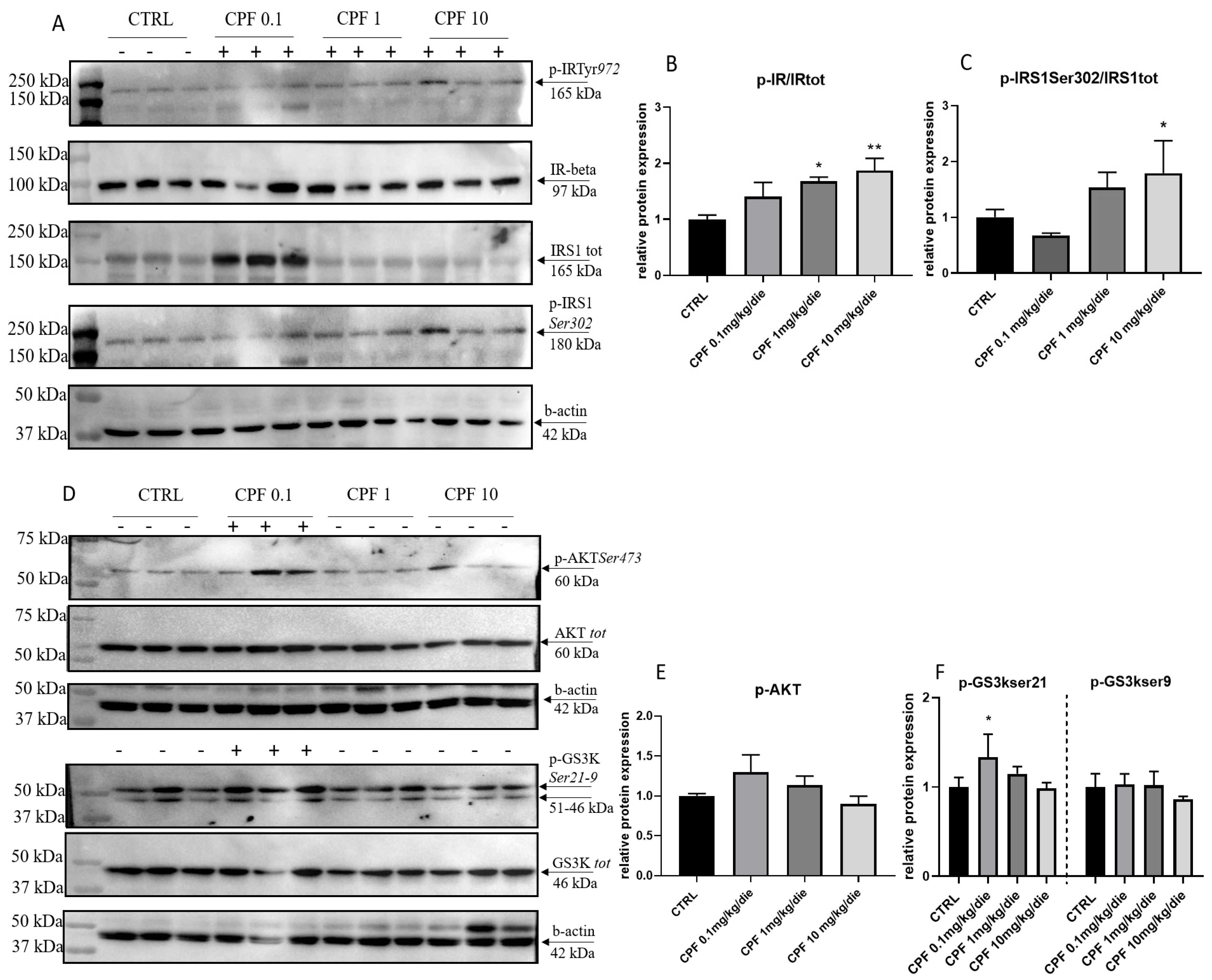 Ijms 24 09582 g004 Ijms 24 09582 g004