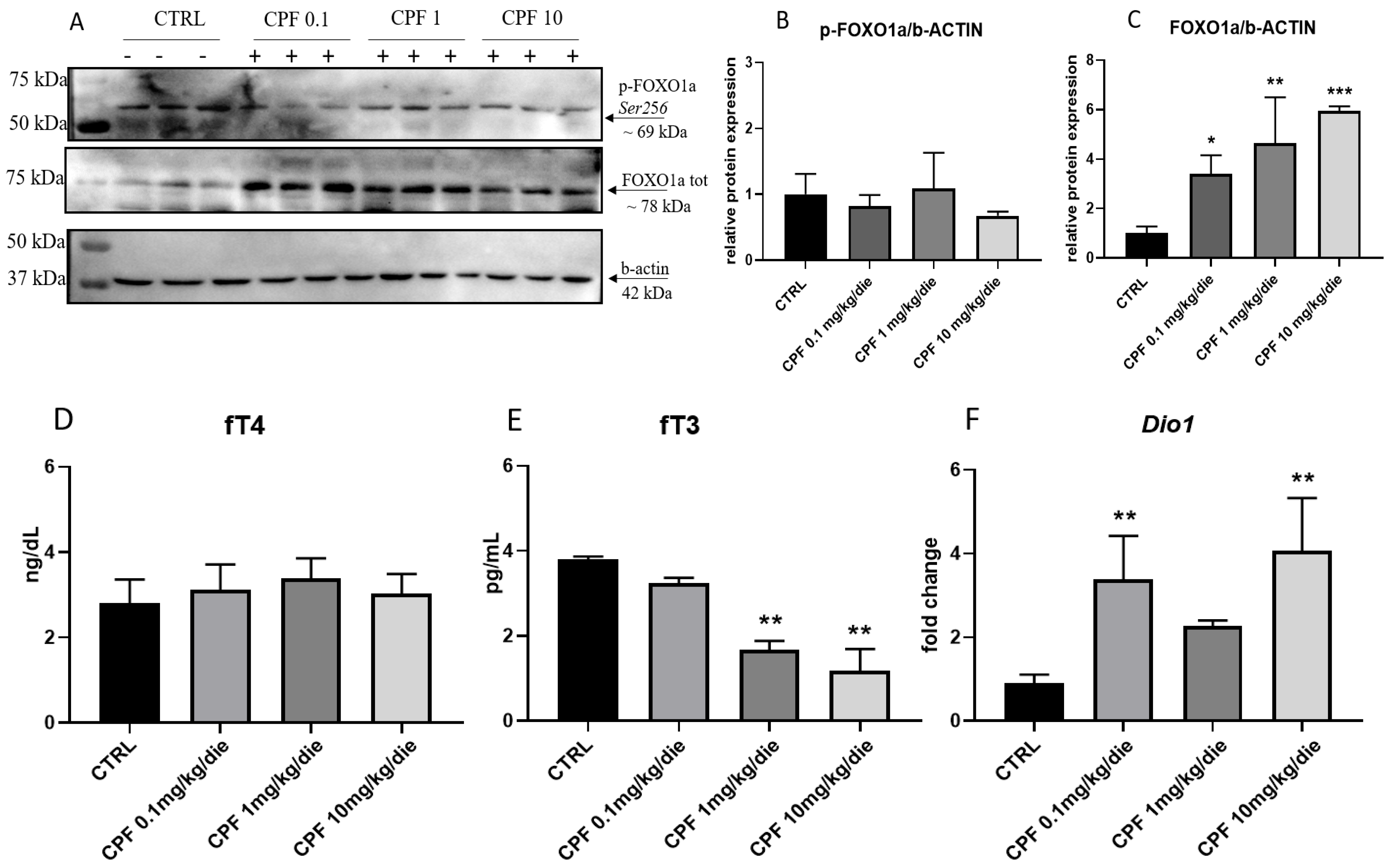 Ijms 24 09582 g006 Ijms 24 09582 g006