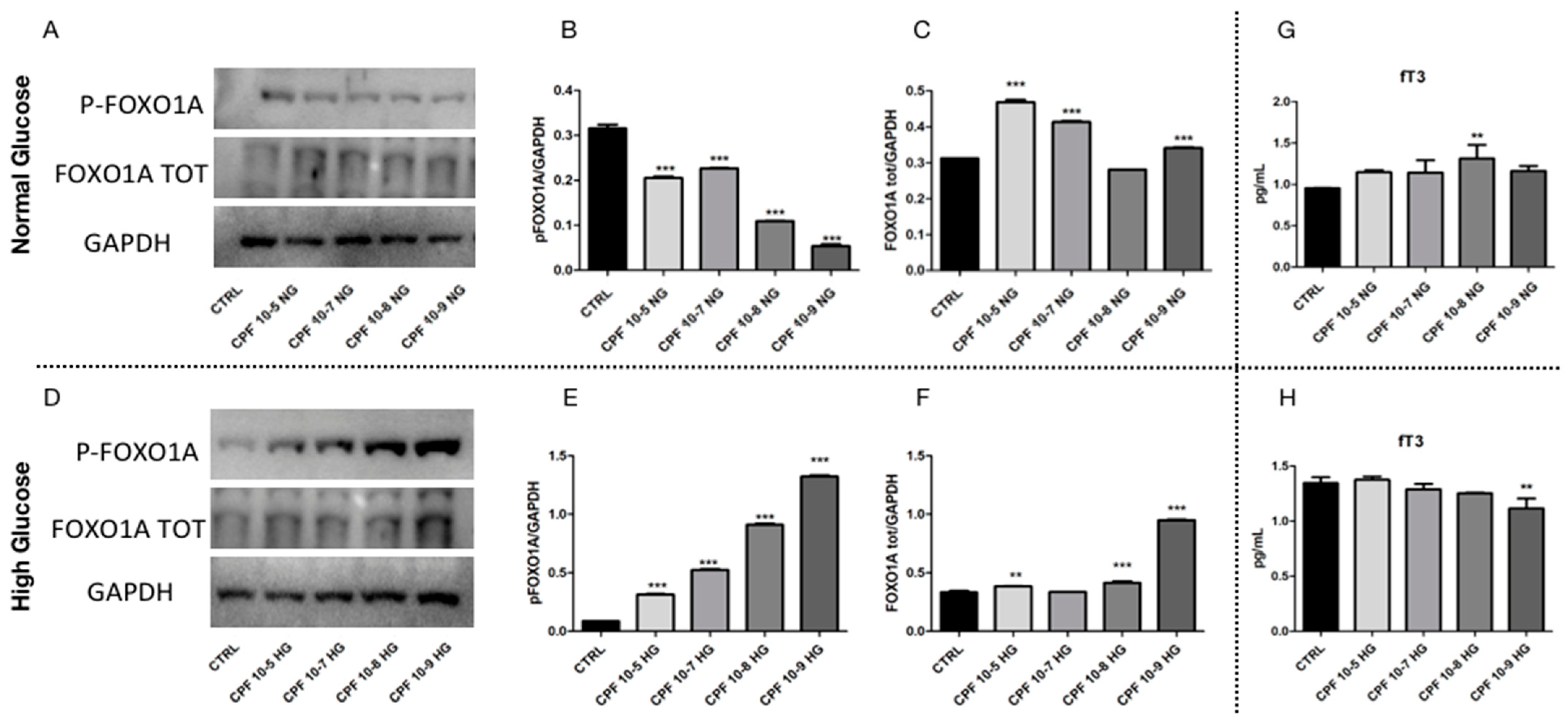 Ijms 24 09582 g008 Ijms 24 09582 g008