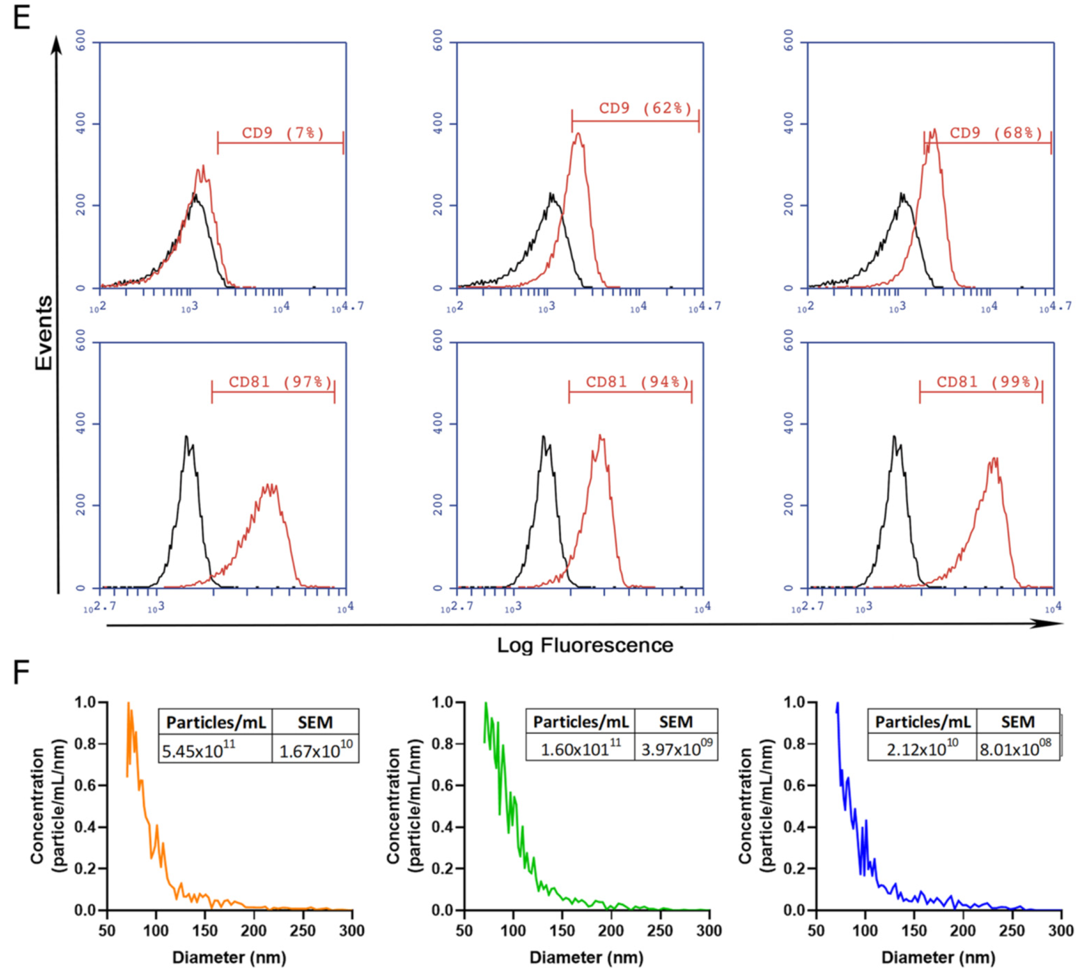 Ijms 24 09586 g002b Ijms 24 09586 g002b