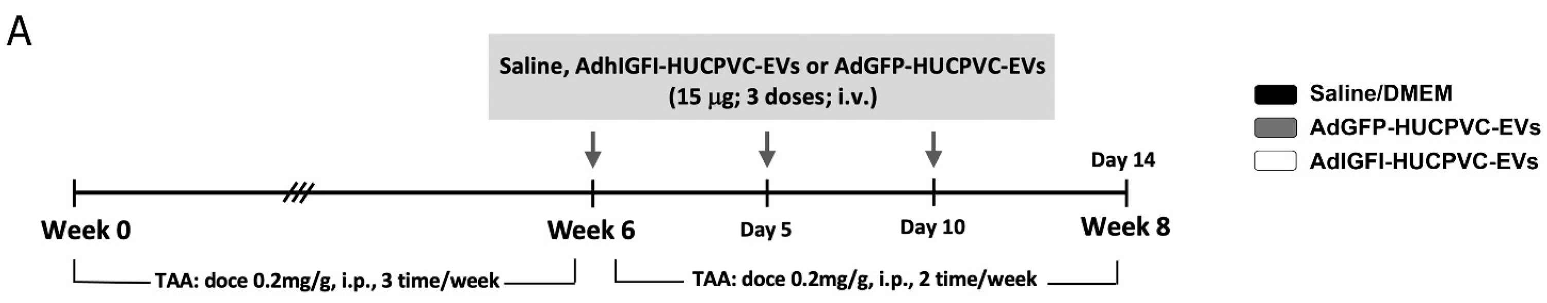 Ijms 24 09586 g005a Ijms 24 09586 g005a