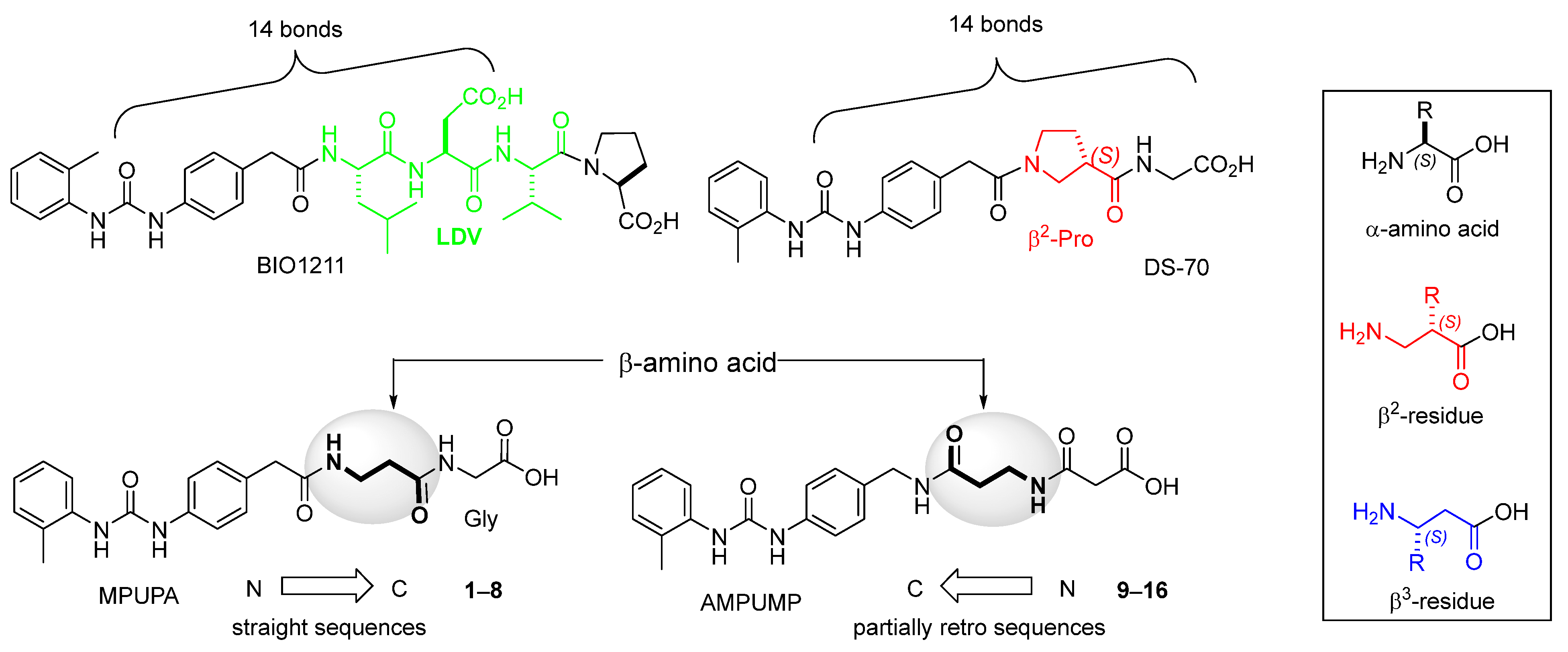 Ijms 24 09588 g001 Ijms 24 09588 g001
