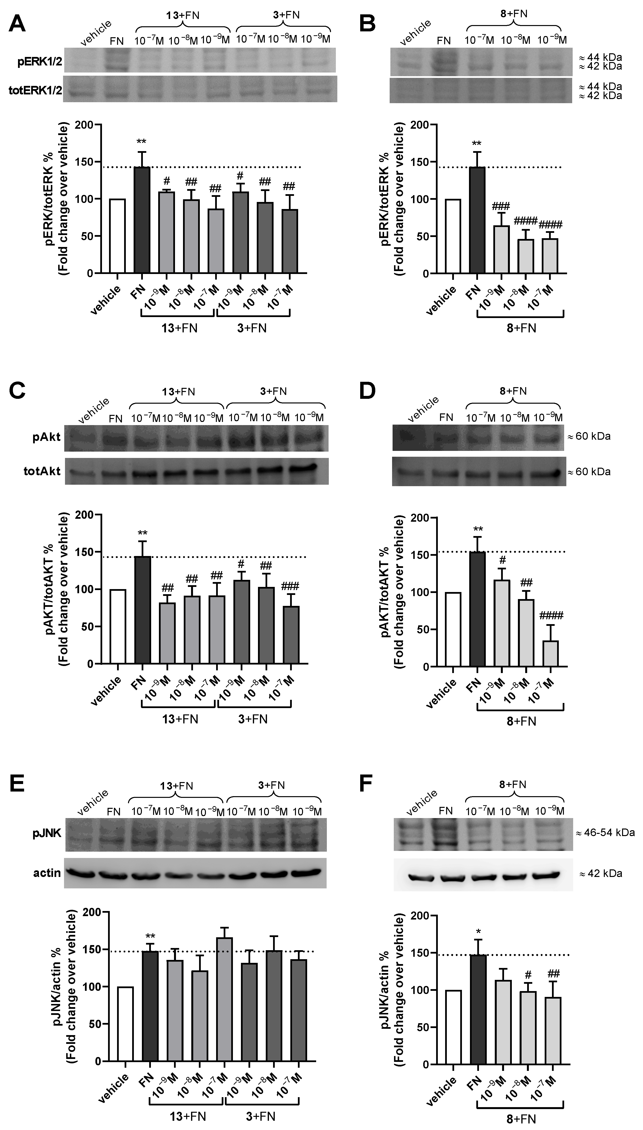 Ijms 24 09588 g003 Ijms 24 09588 g003