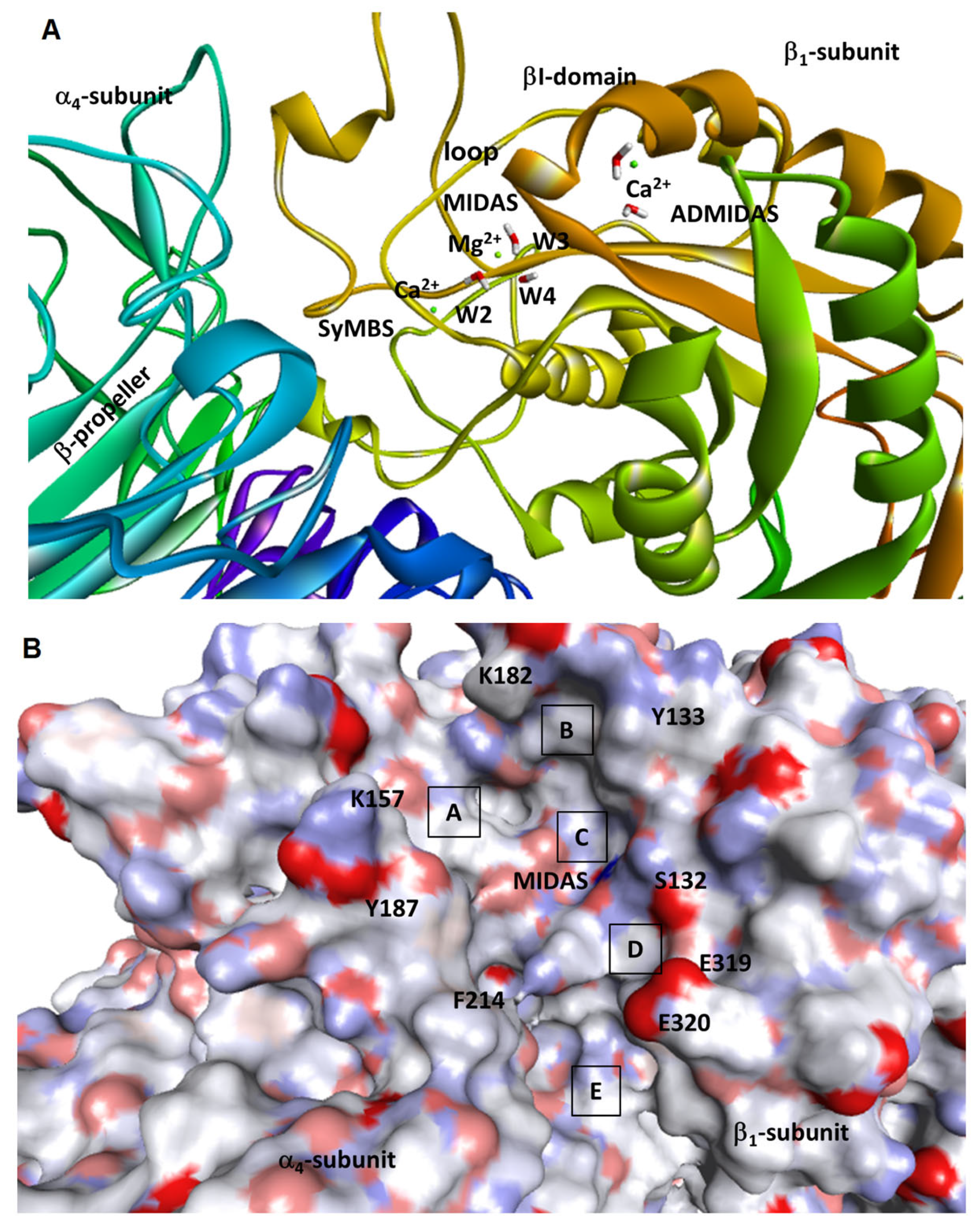 Ijms 24 09588 g004 Ijms 24 09588 g004