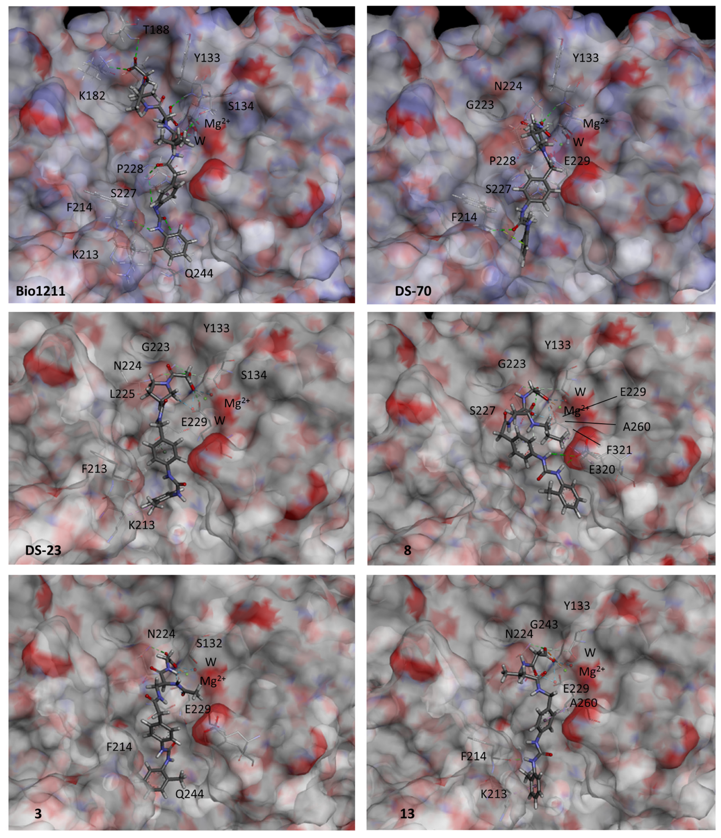 Ijms 24 09588 g005 Ijms 24 09588 g005