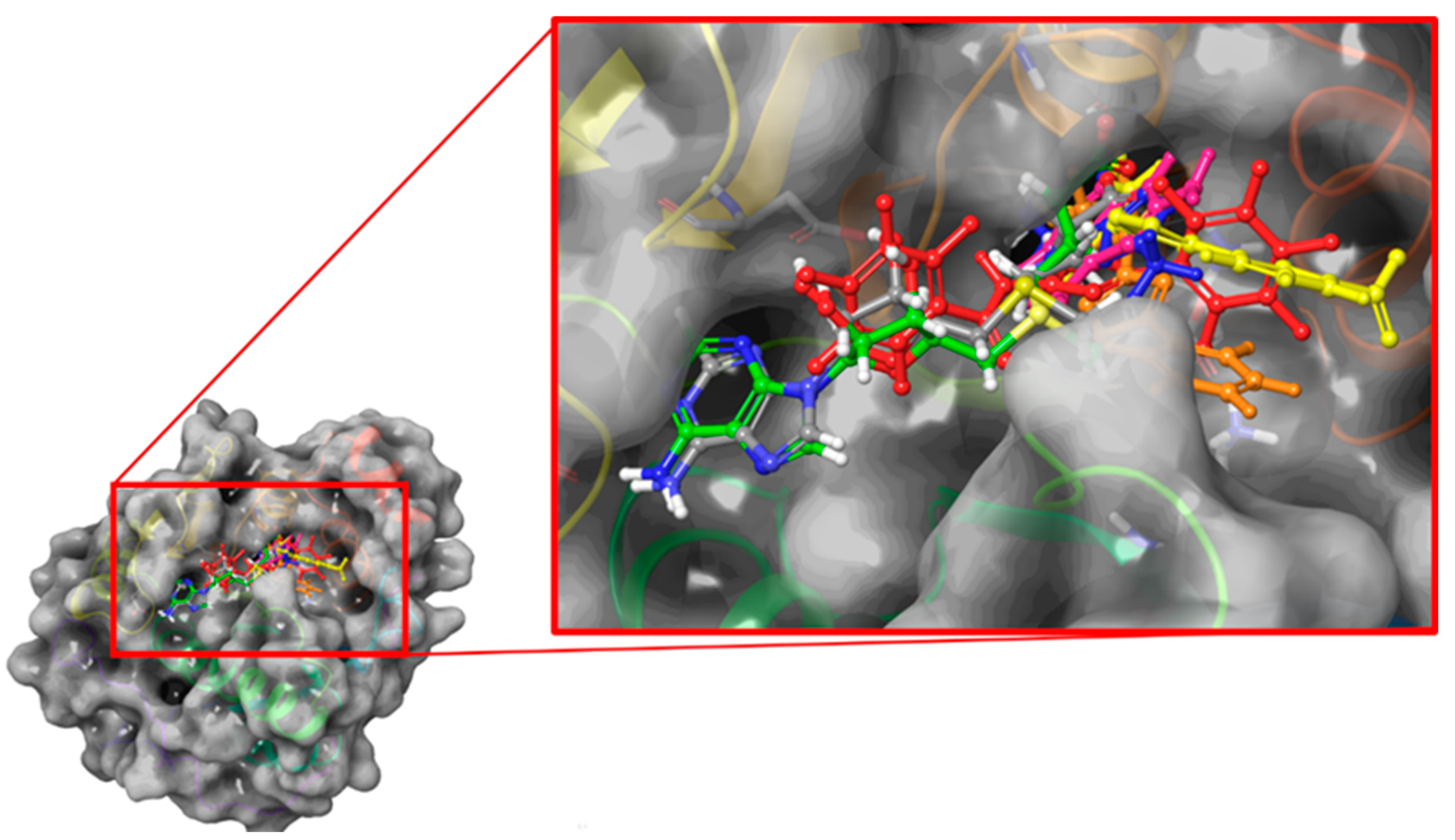 Ijms 24 09609 g004 Ijms 24 09609 g004