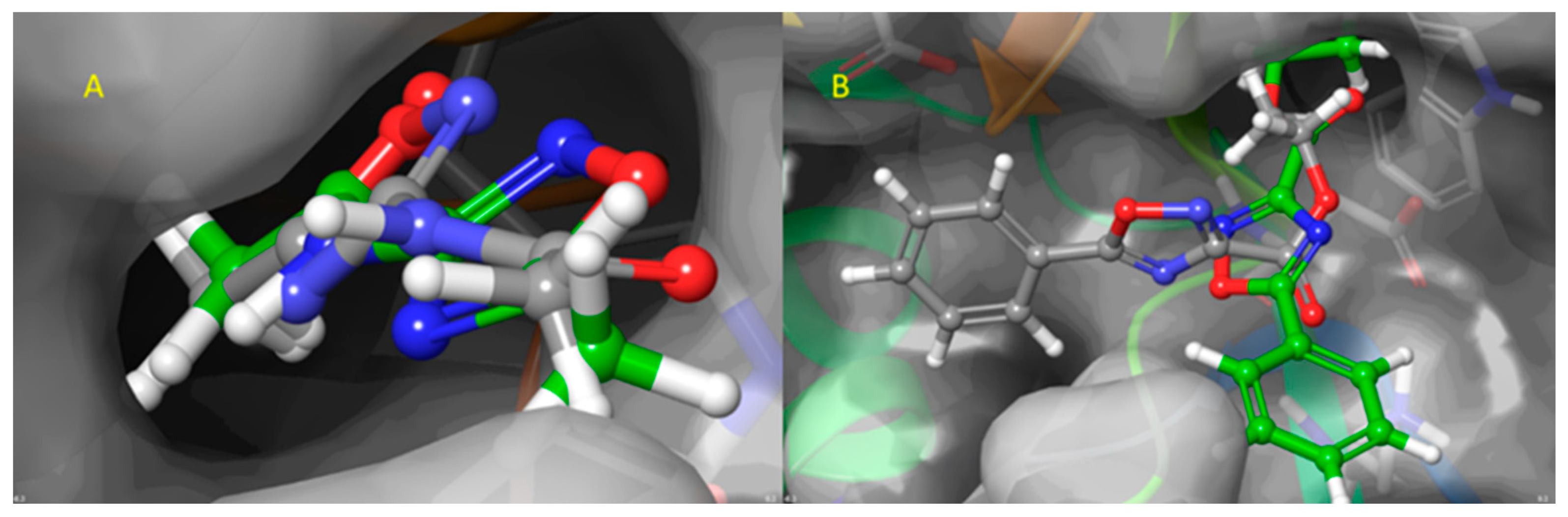 Ijms 24 09609 g005 Ijms 24 09609 g005