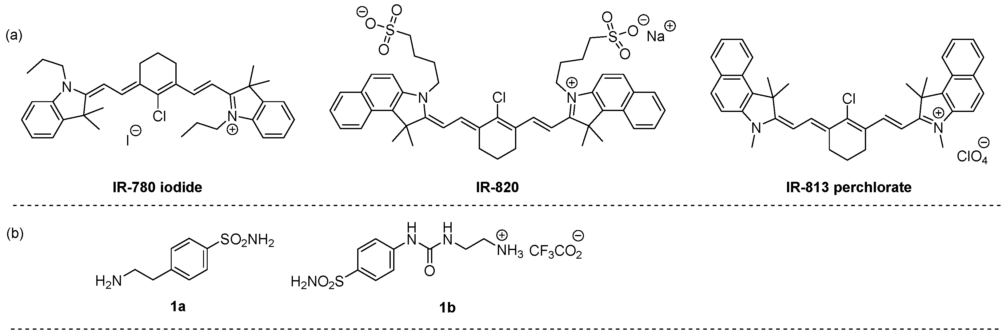 Ijms 24 09610 g001 Ijms 24 09610 g001
