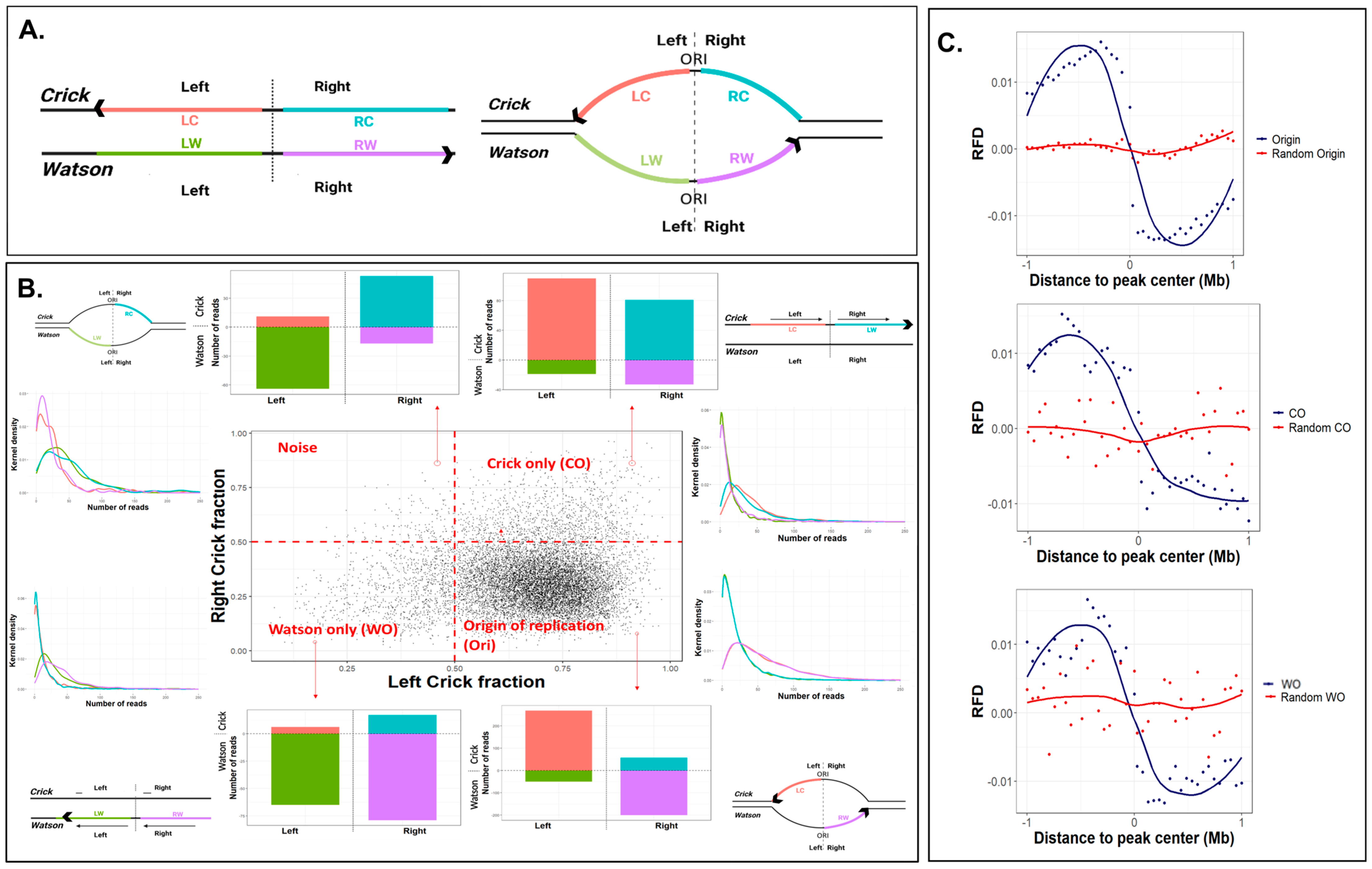Ijms 24 09611 g001 Ijms 24 09611 g001