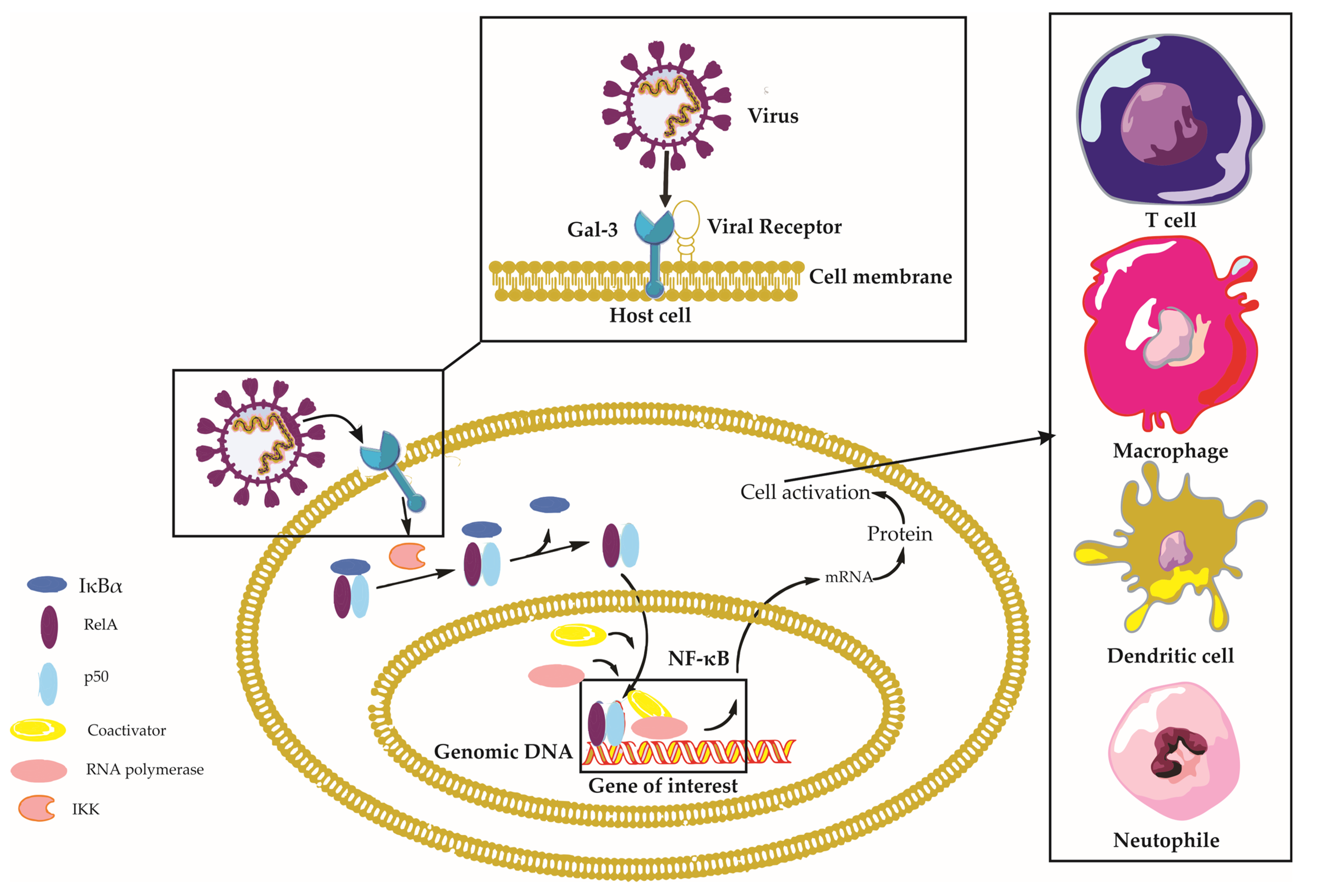Ijms 24 09617 g002 Ijms 24 09617 g002